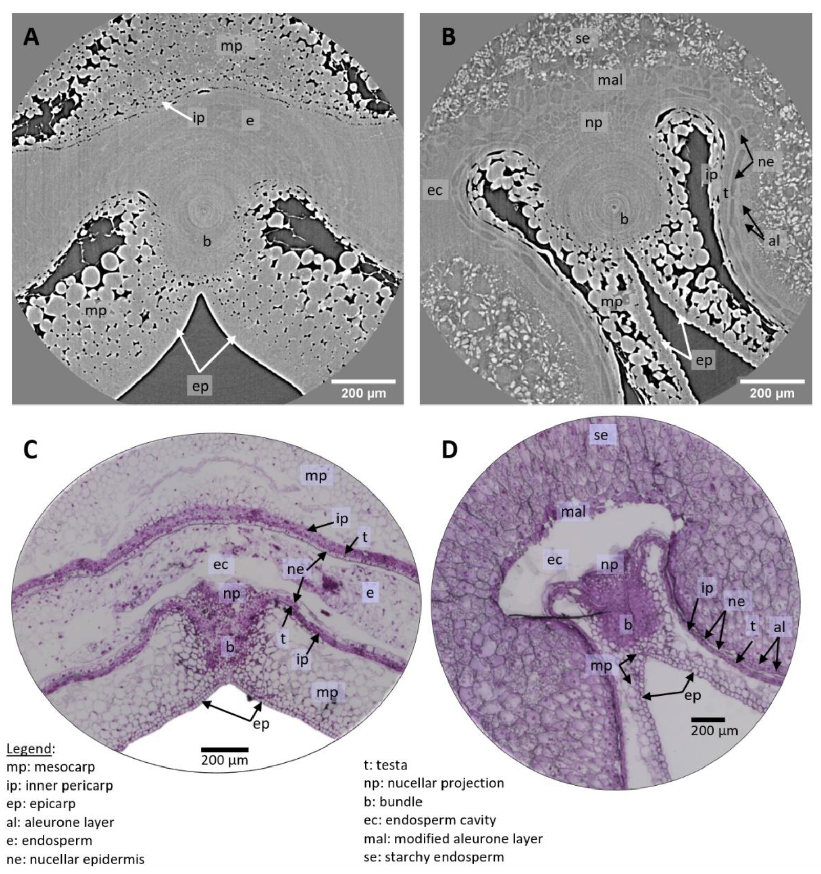 Applsci 12 03454 g005 550