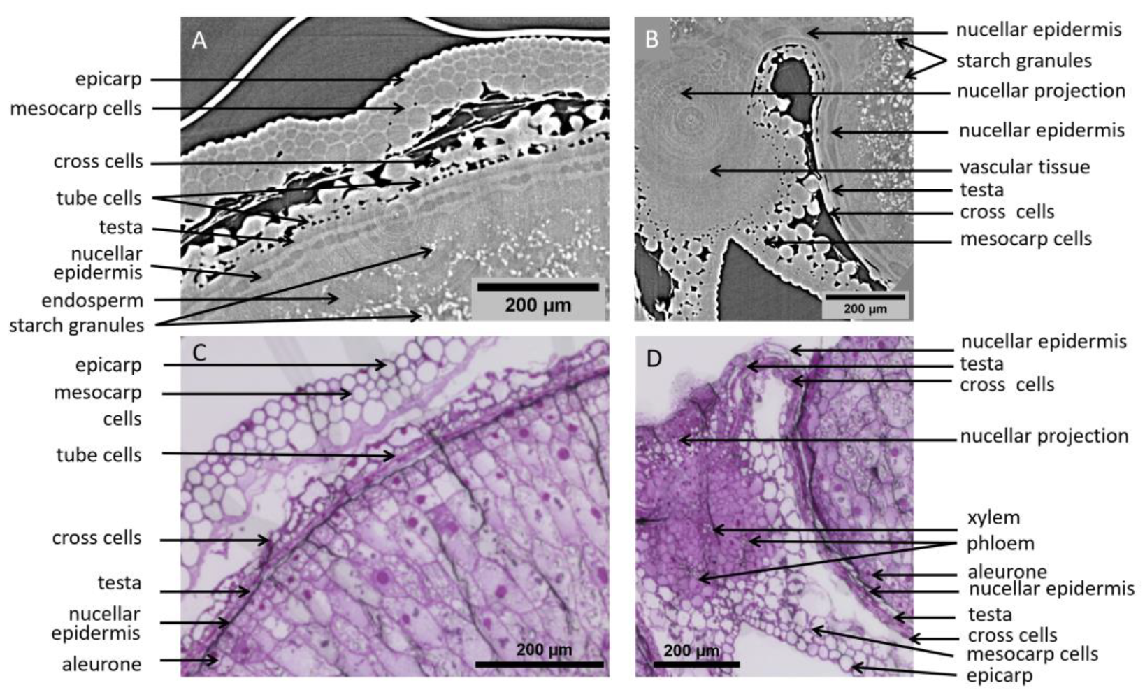 Applsci 12 03454 g006 550
