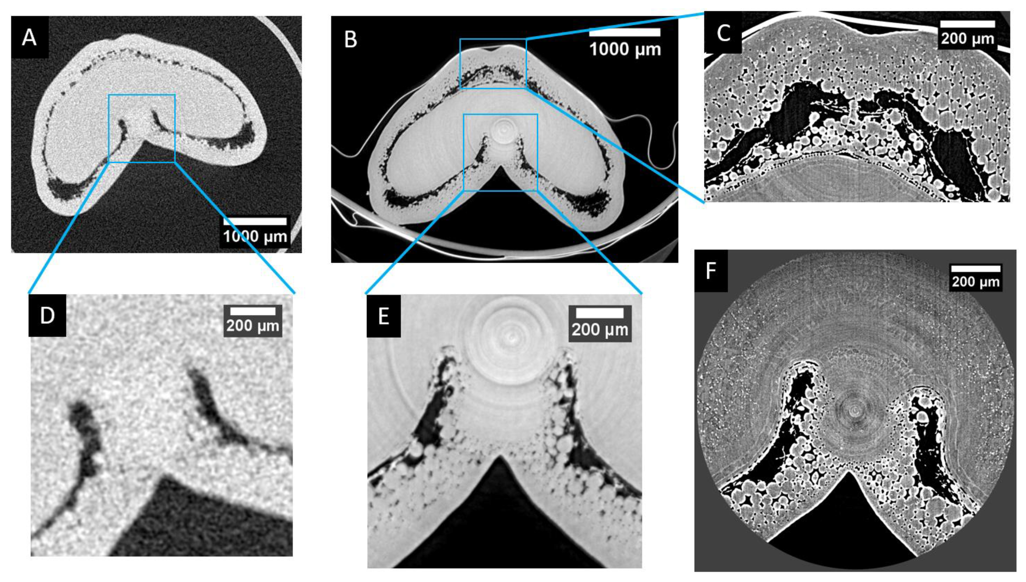 Applsci 12 03454 g007 550