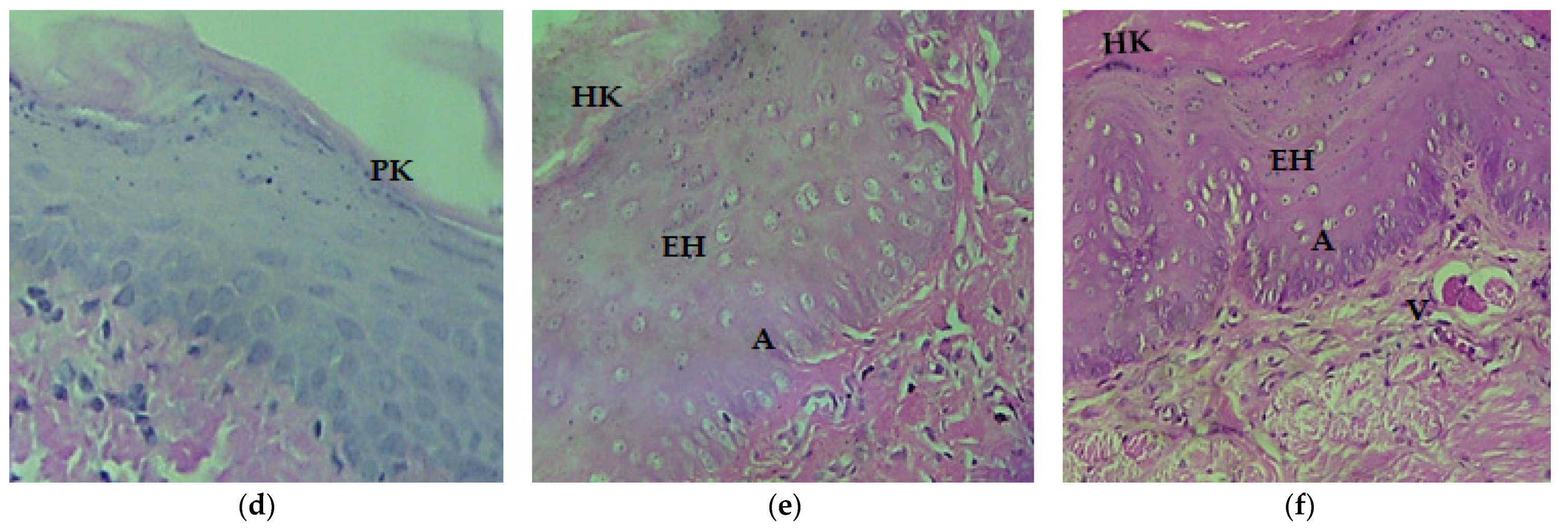 Applsci 12 03464 g001b Applsci 12 03464 g001b