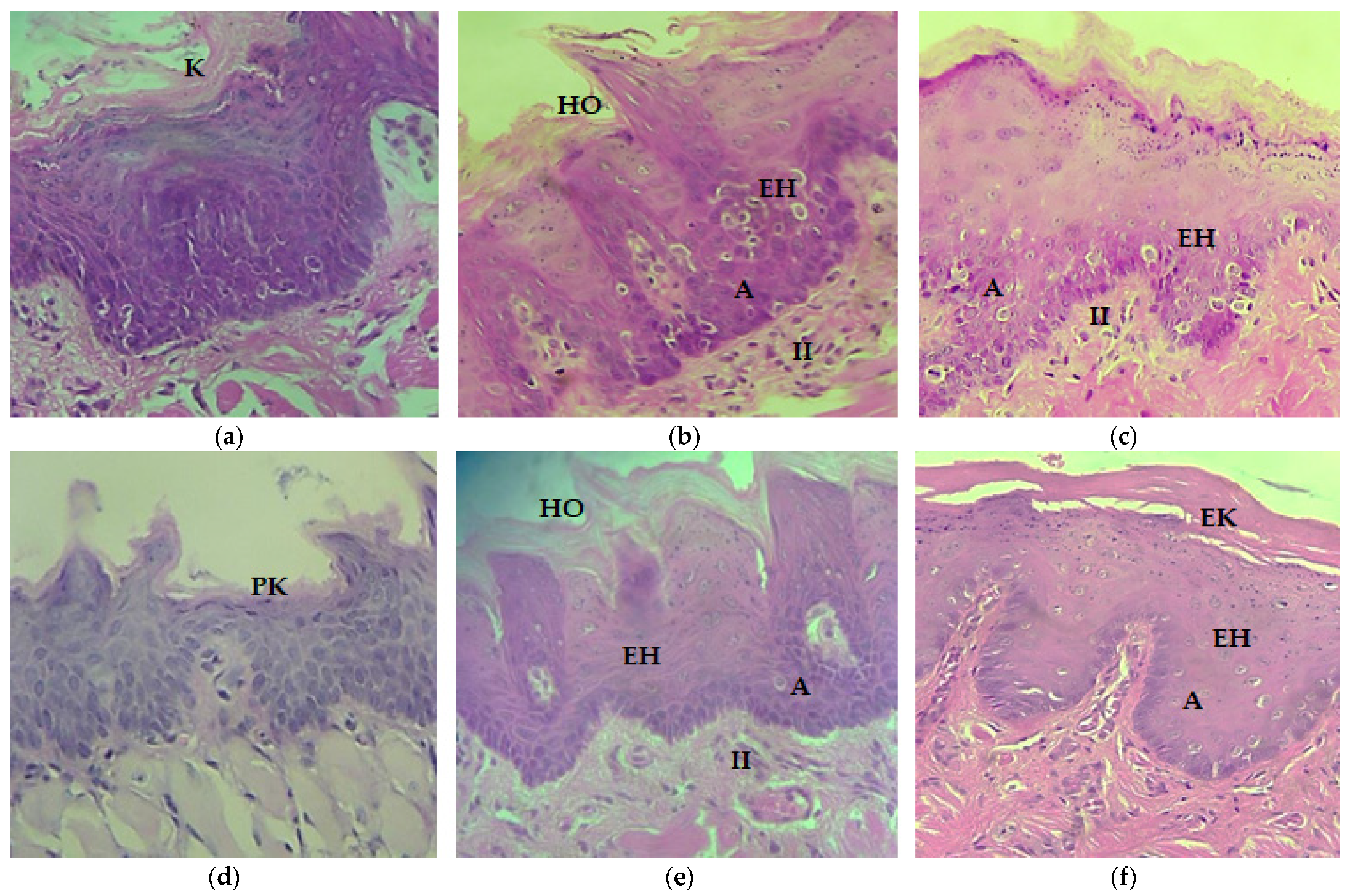 Applsci 12 03464 g002 Applsci 12 03464 g002