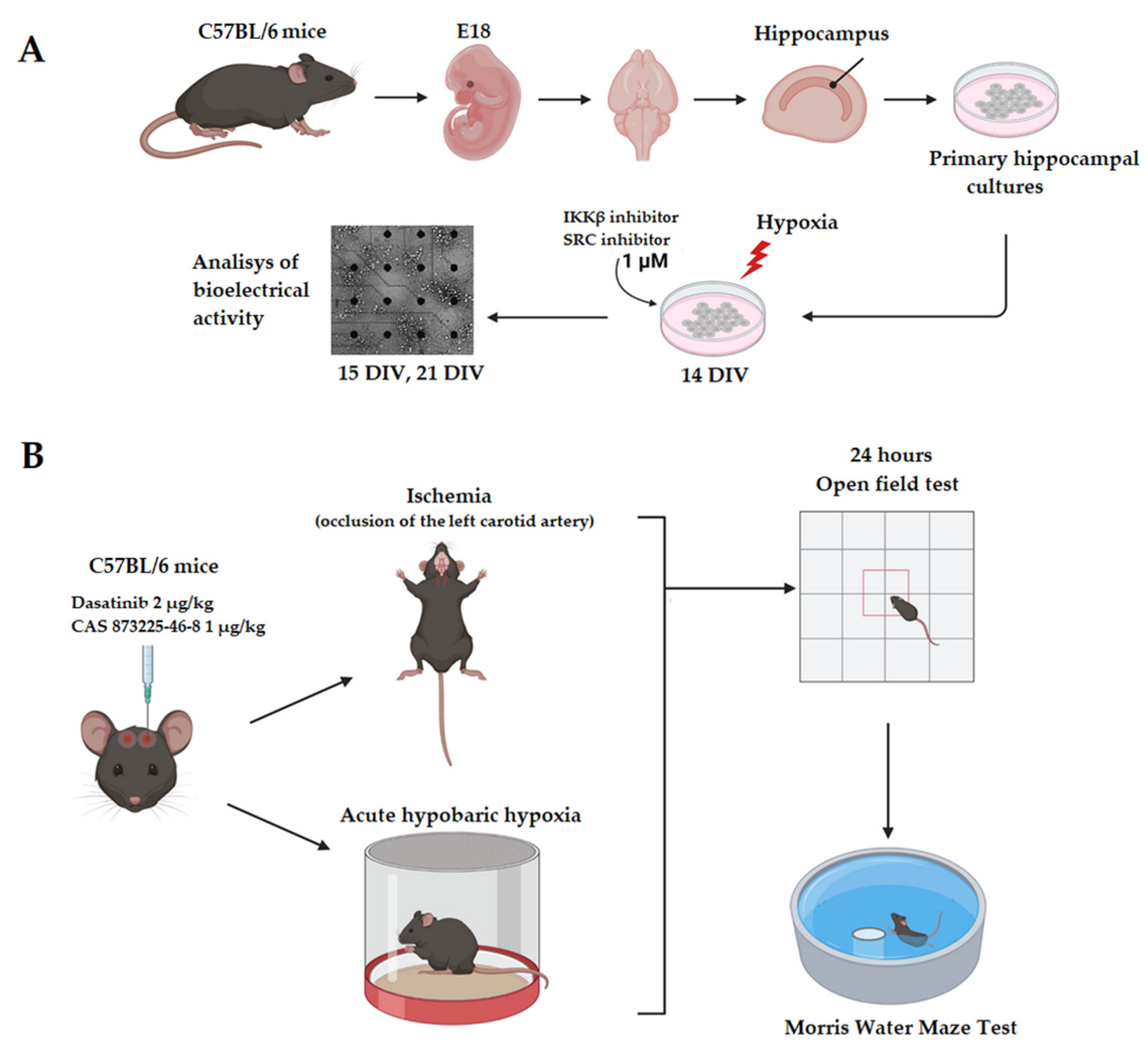 Applsci 12 03469 g001 550