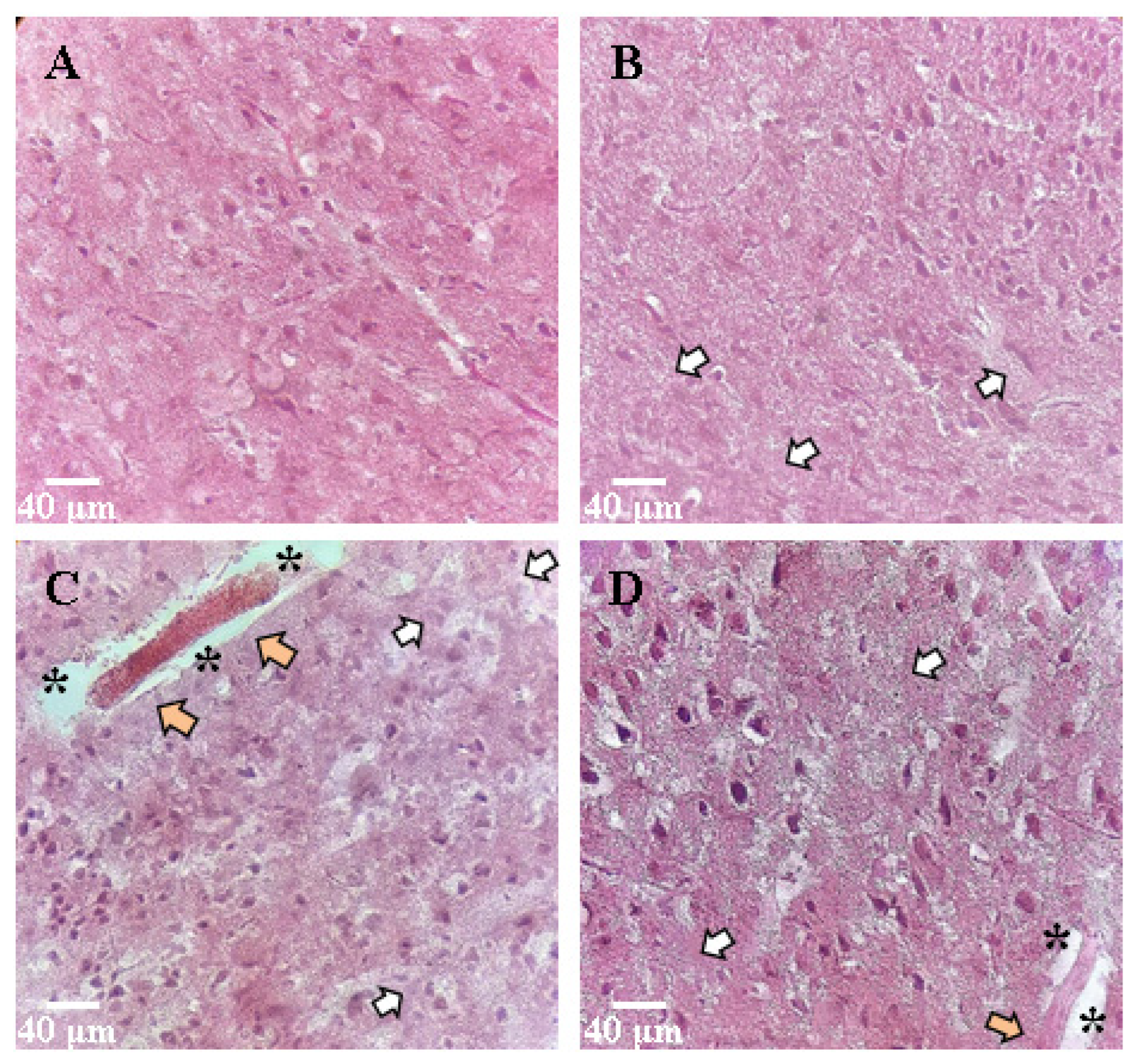 Applsci 12 03469 g006 550