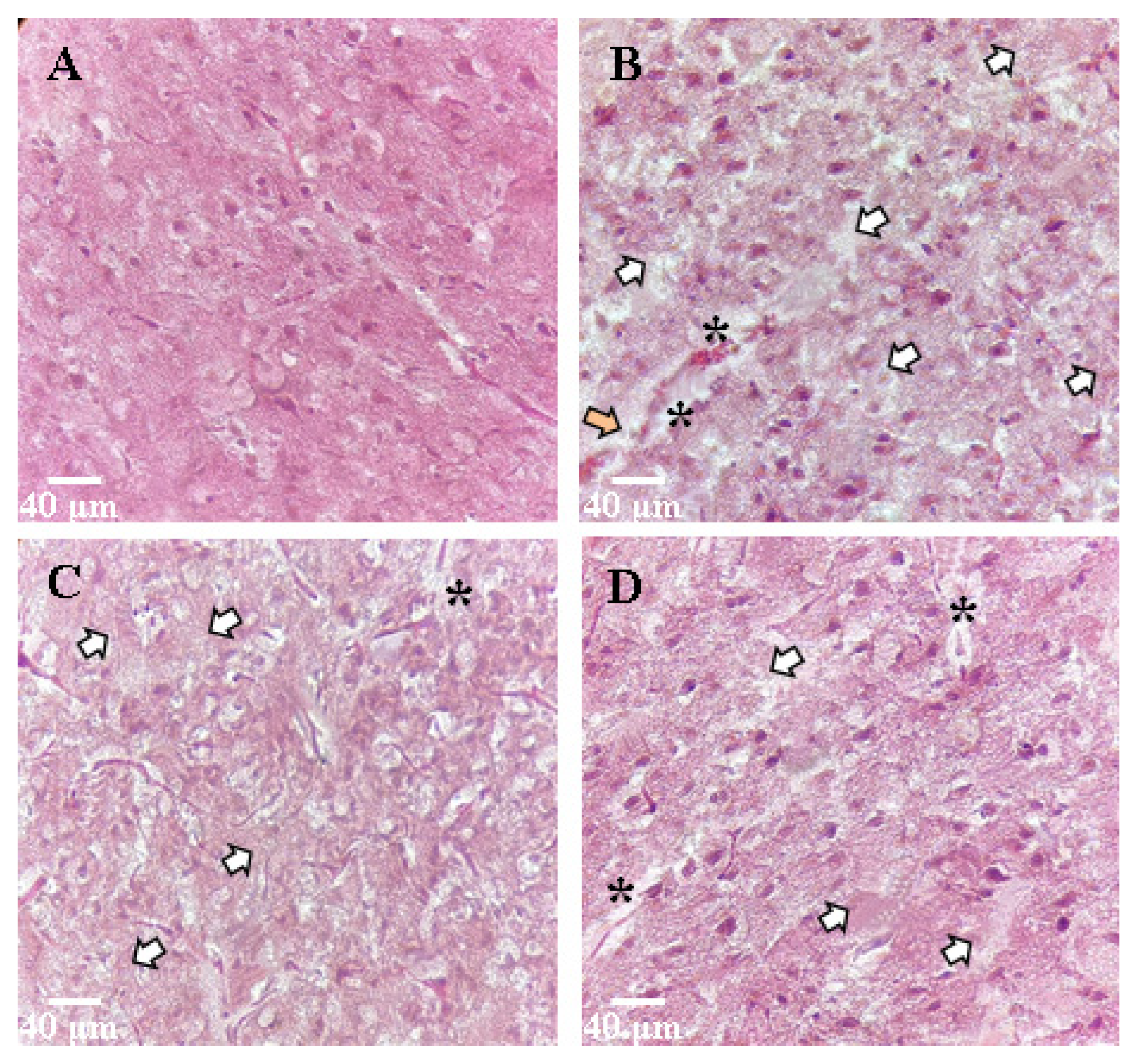 Applsci 12 03469 g007 550