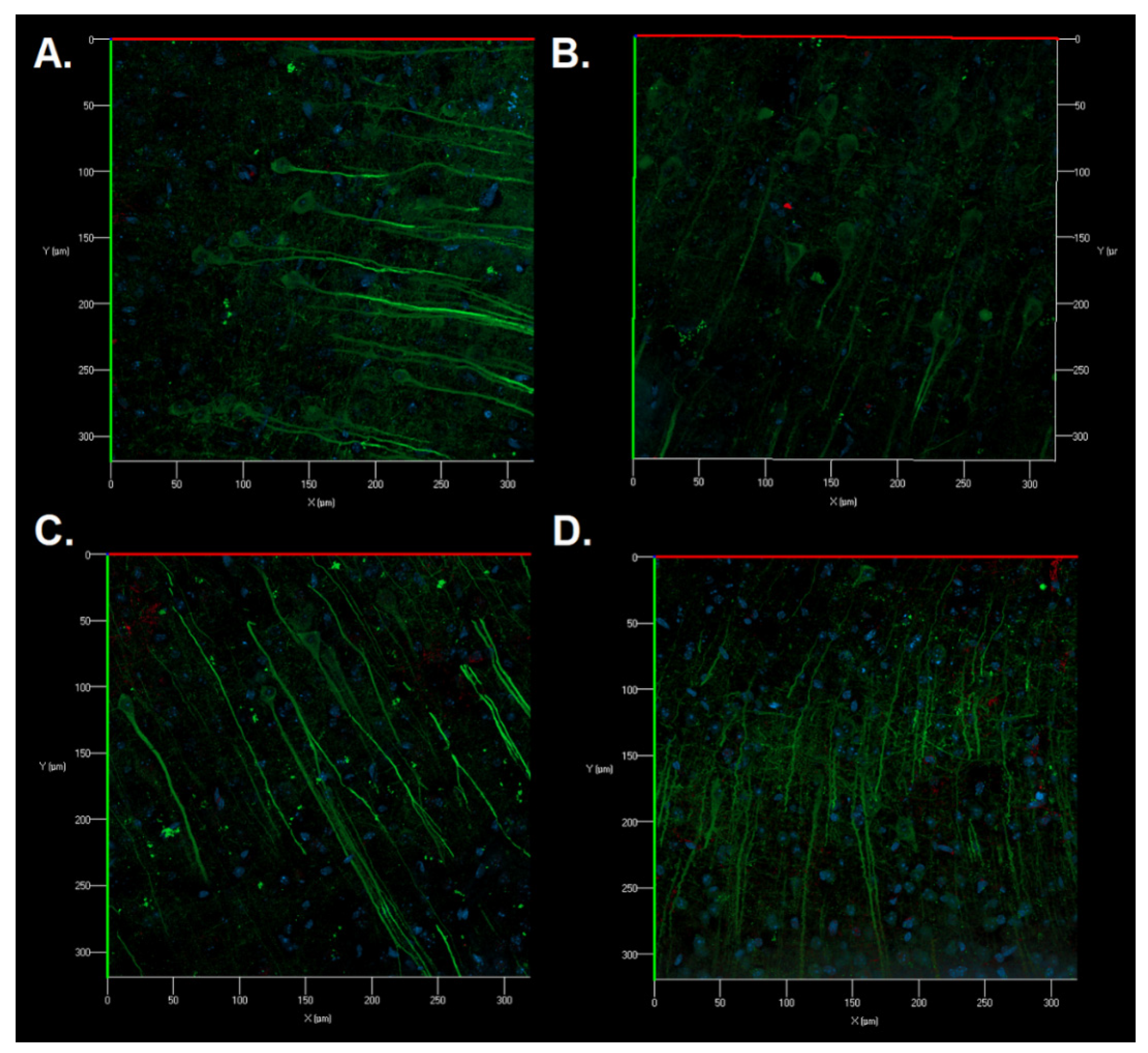 Applsci 12 03469 g008 550