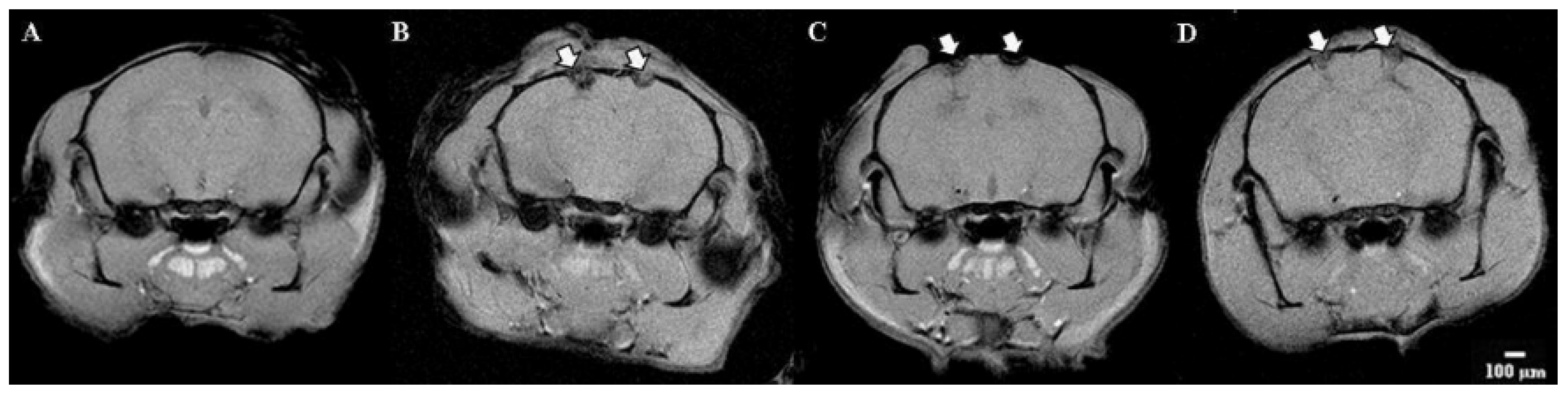 Applsci 12 03469 g009 550