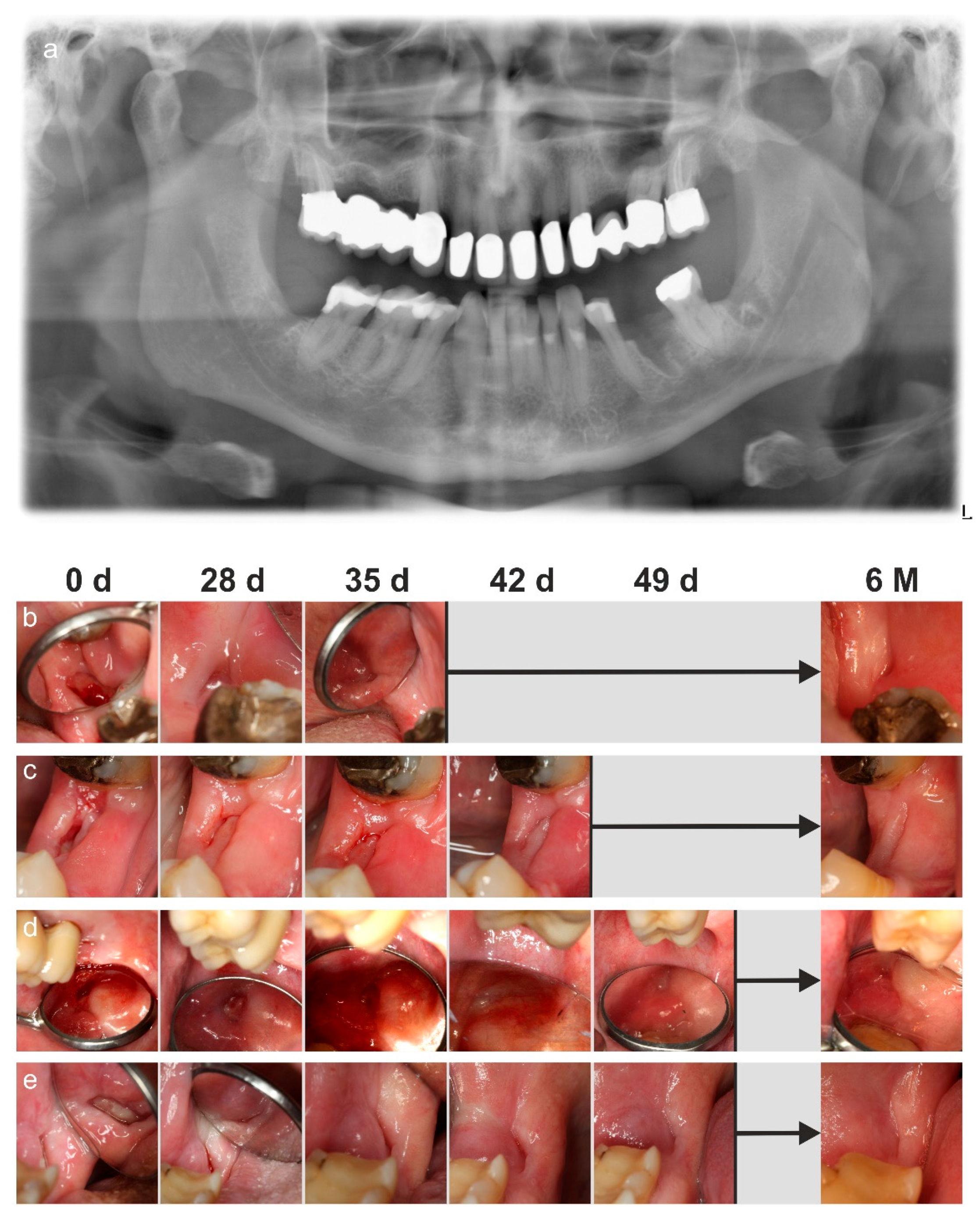 Applsci 12 03490 g002 550