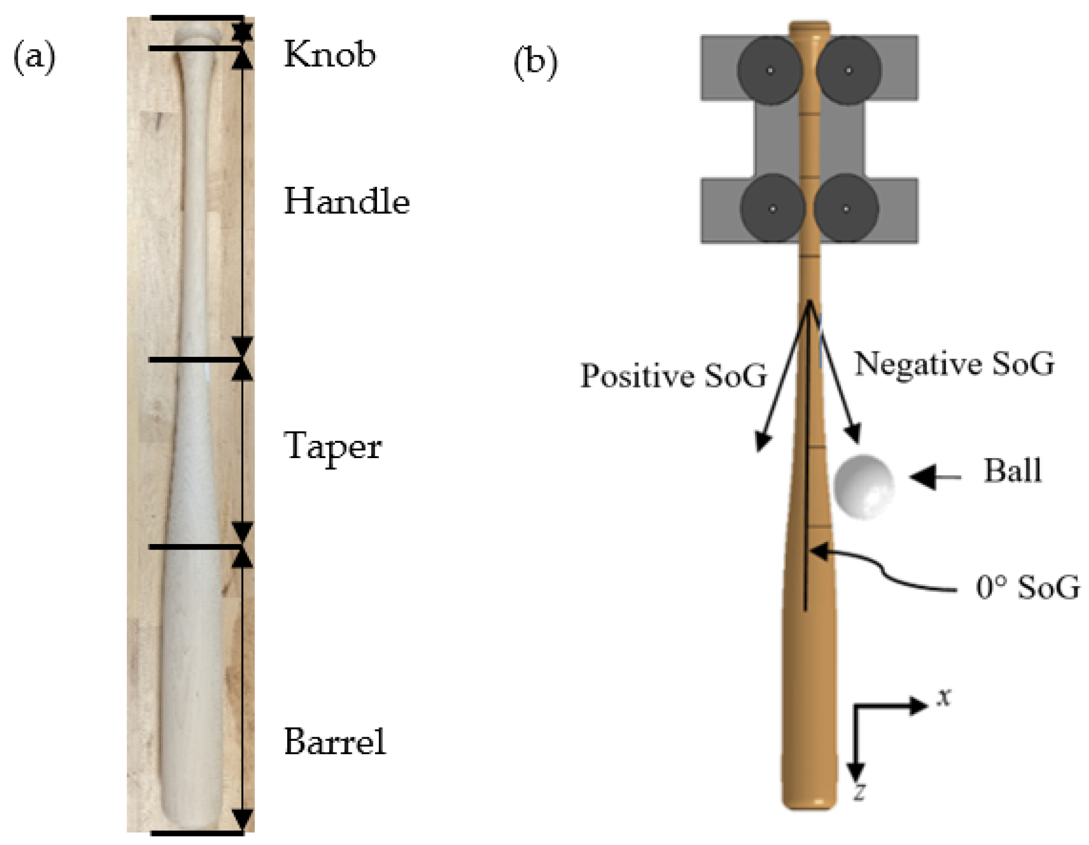 Applied Sciences Free FullText An Investigation of Wood Baseball