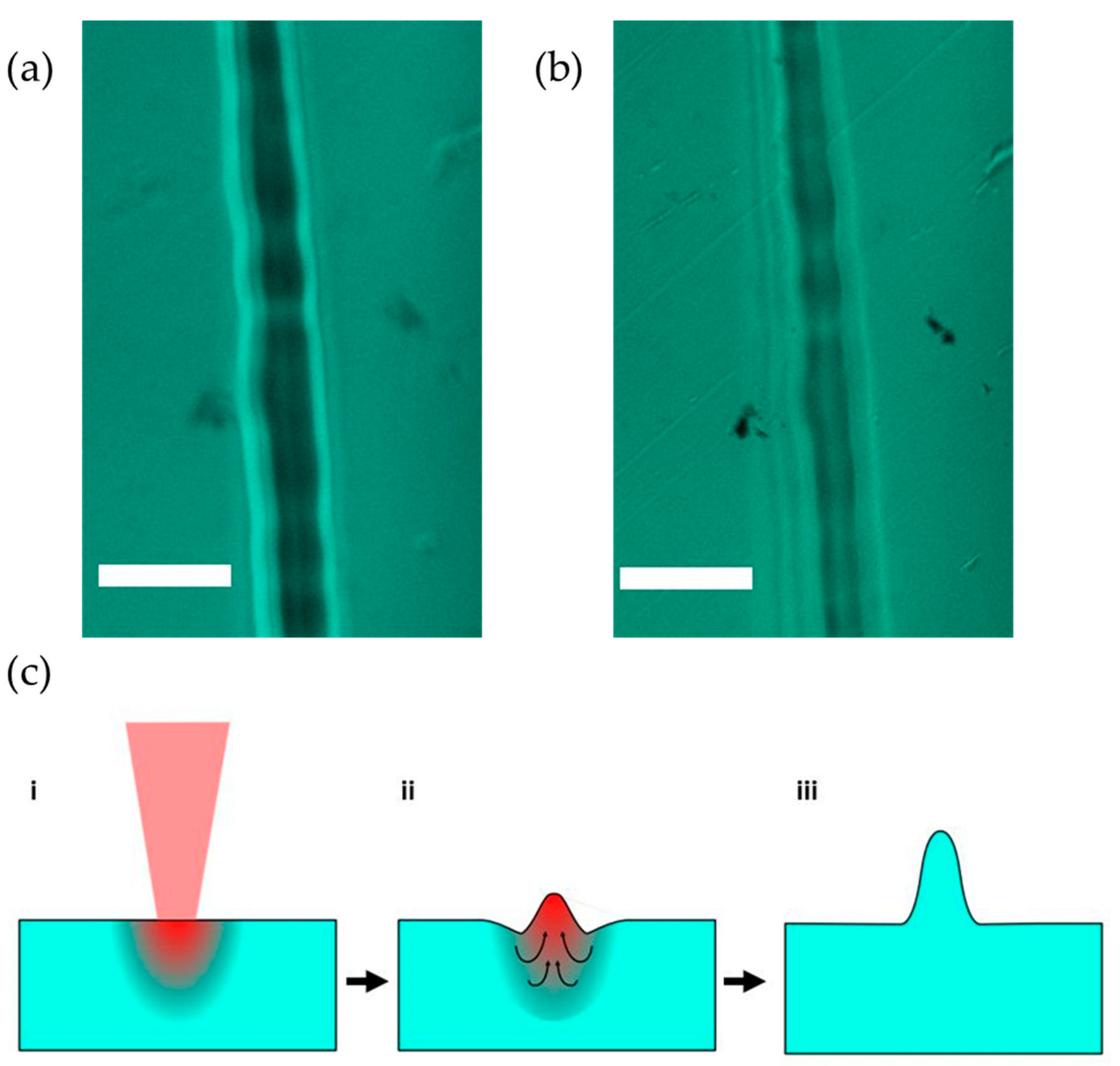 Applsci 12 03516 g003