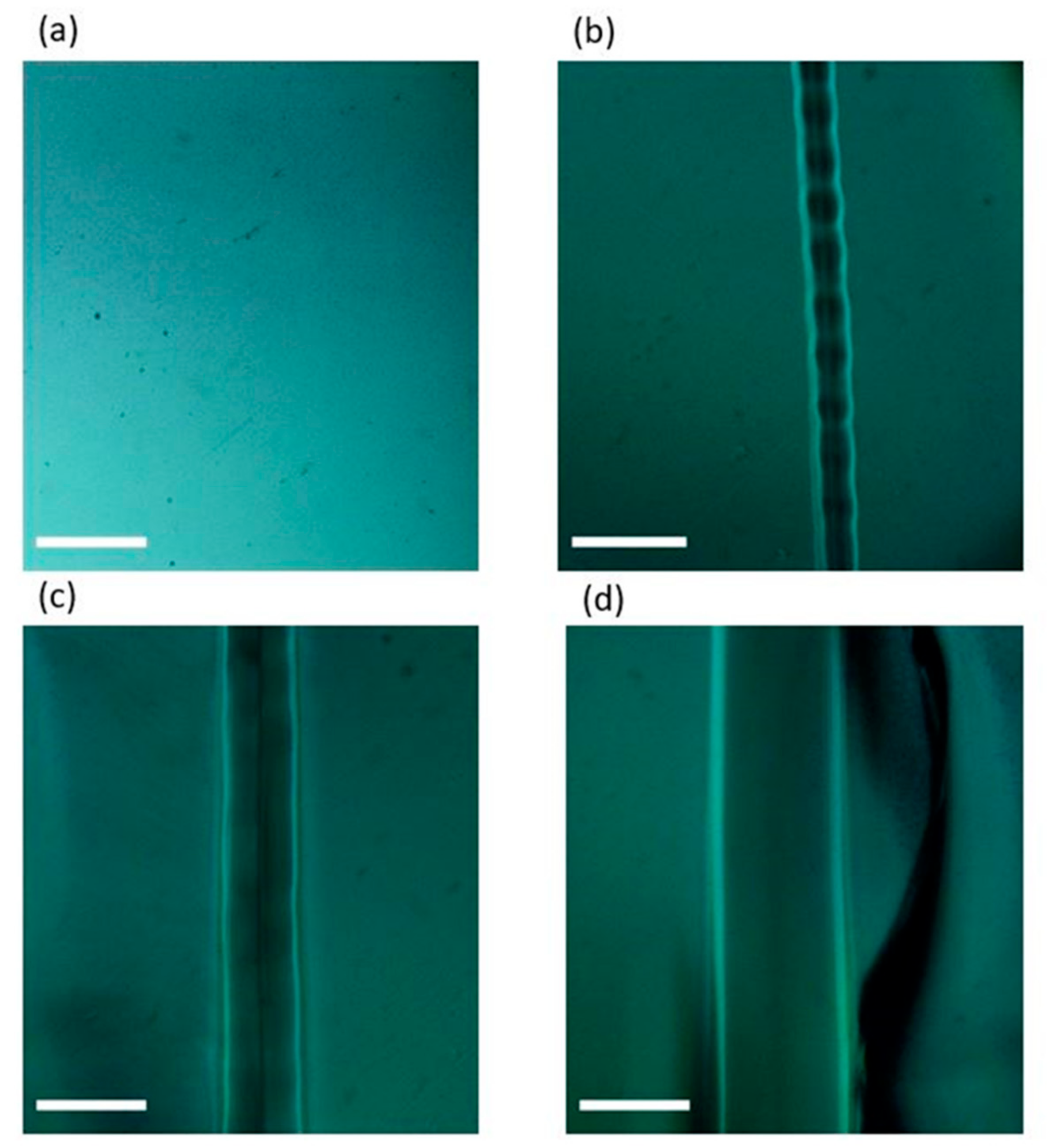 Applsci 12 03516 g004