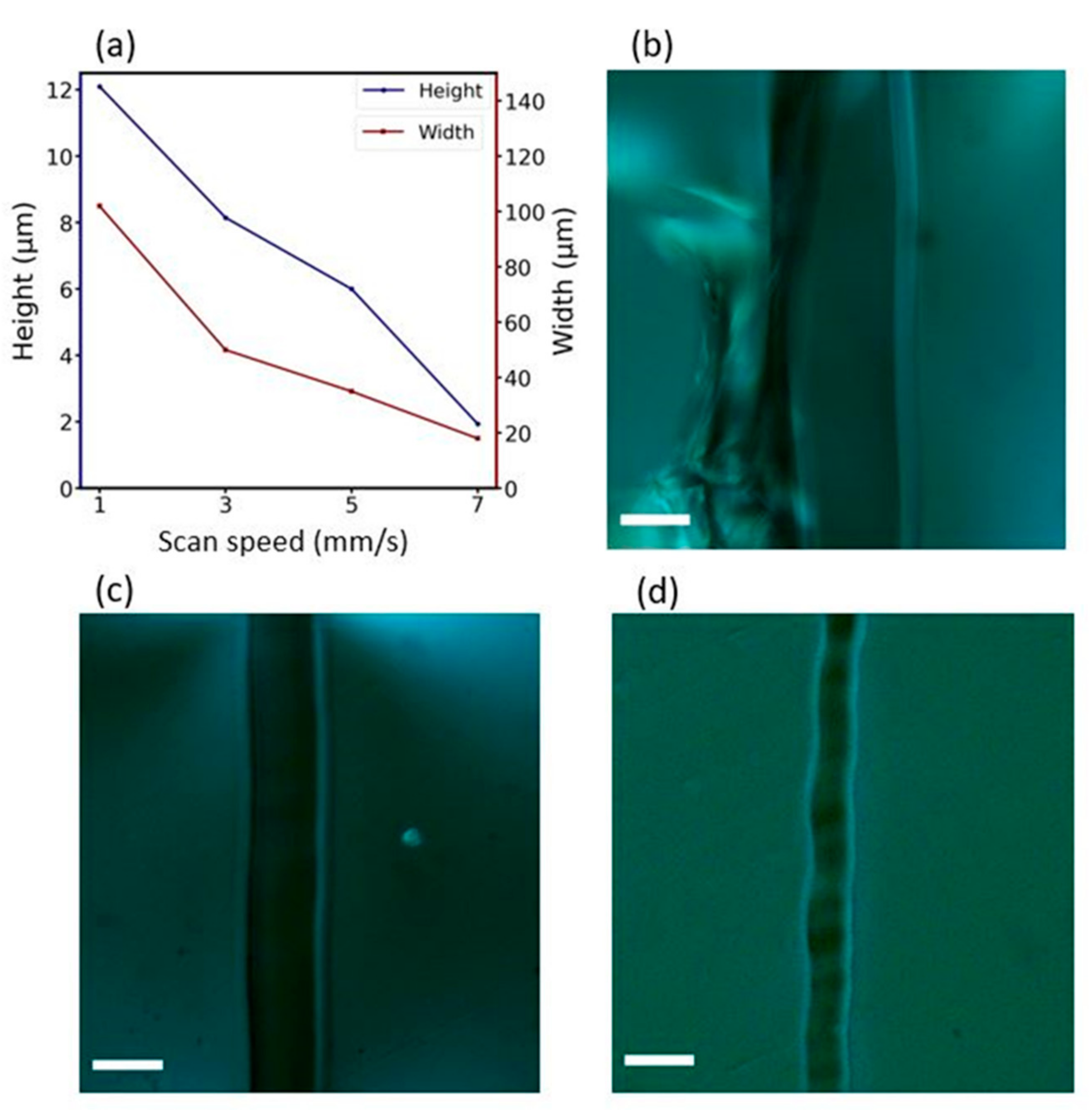 Applsci 12 03516 g007