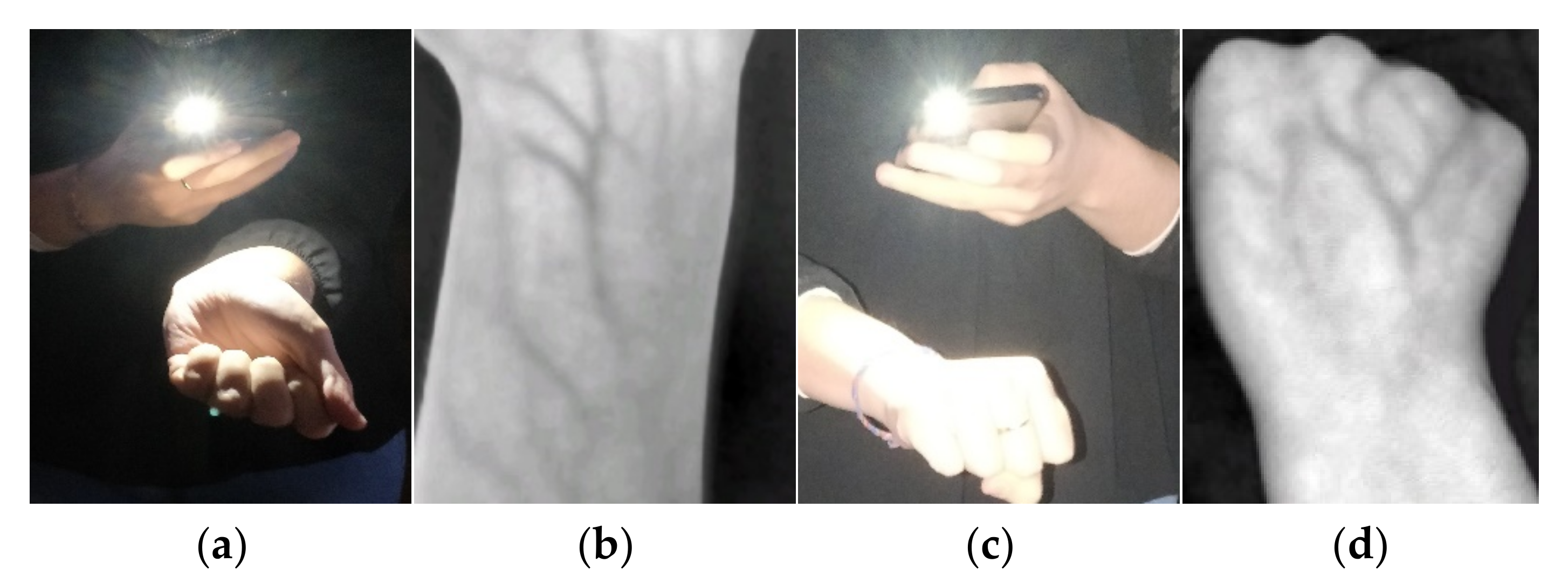 Applsci 12 03522 g001 550