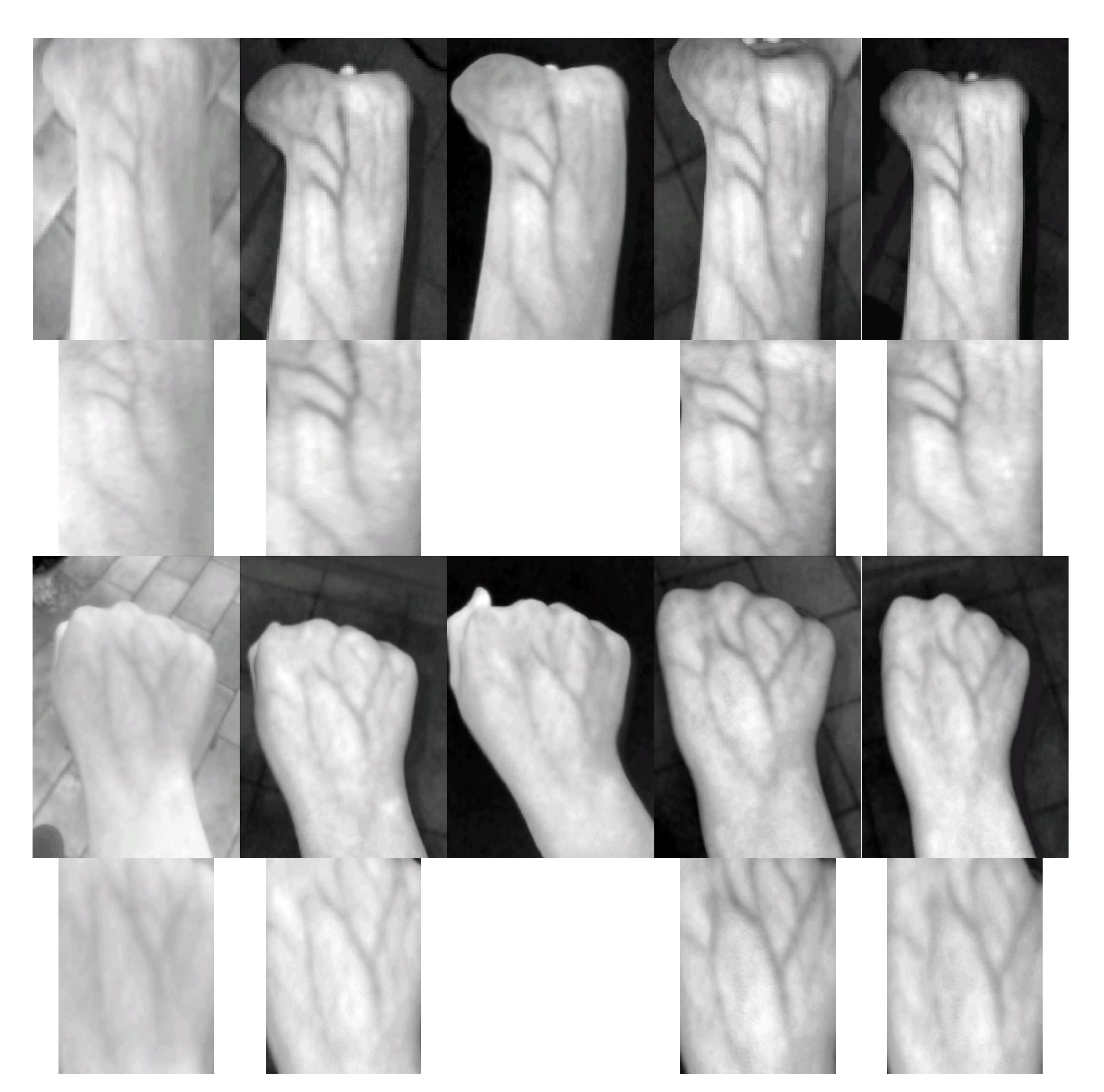 Applsci 12 03522 g002 550