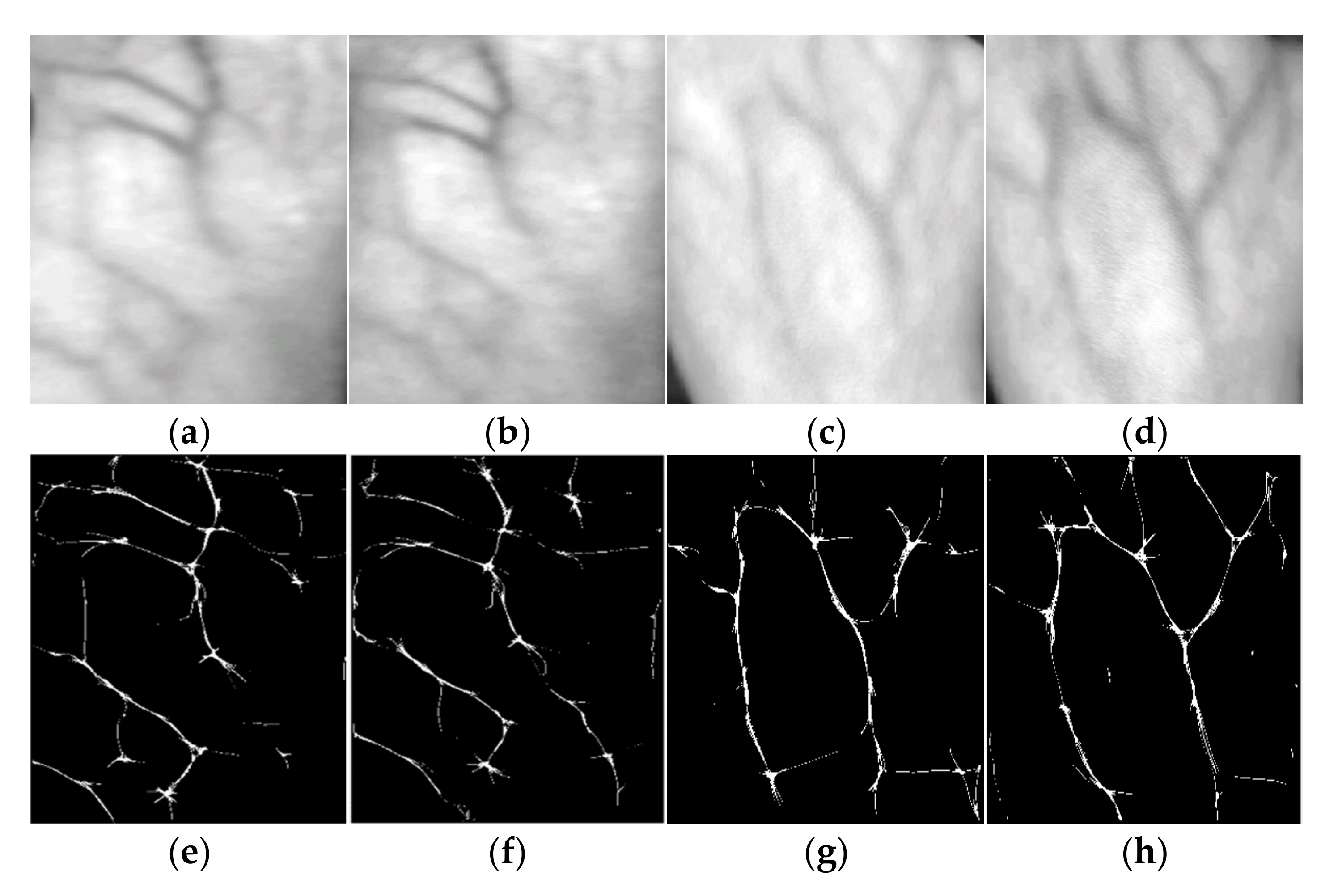 Applsci 12 03522 g003 550