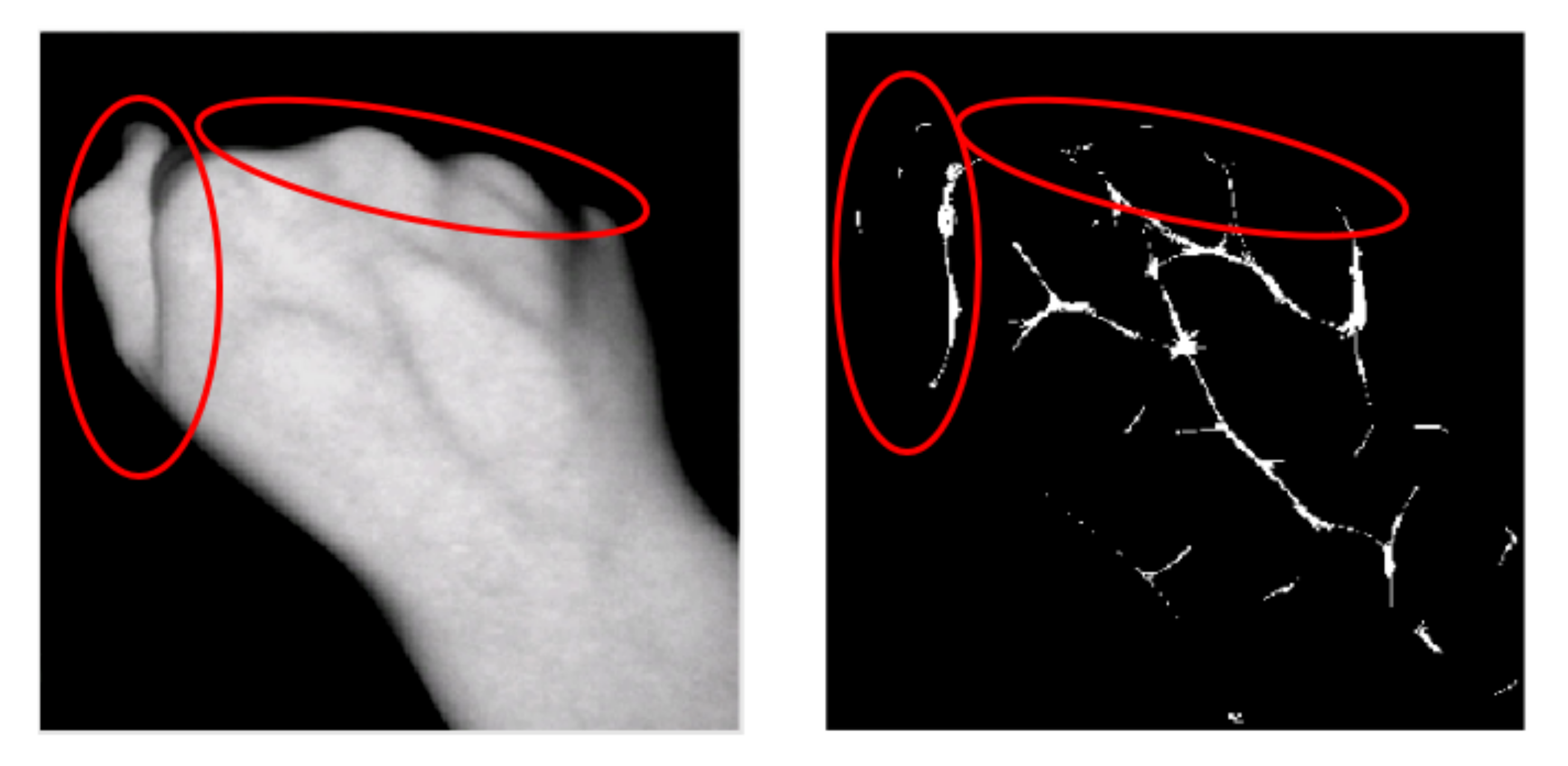 Applsci 12 03522 g006 550