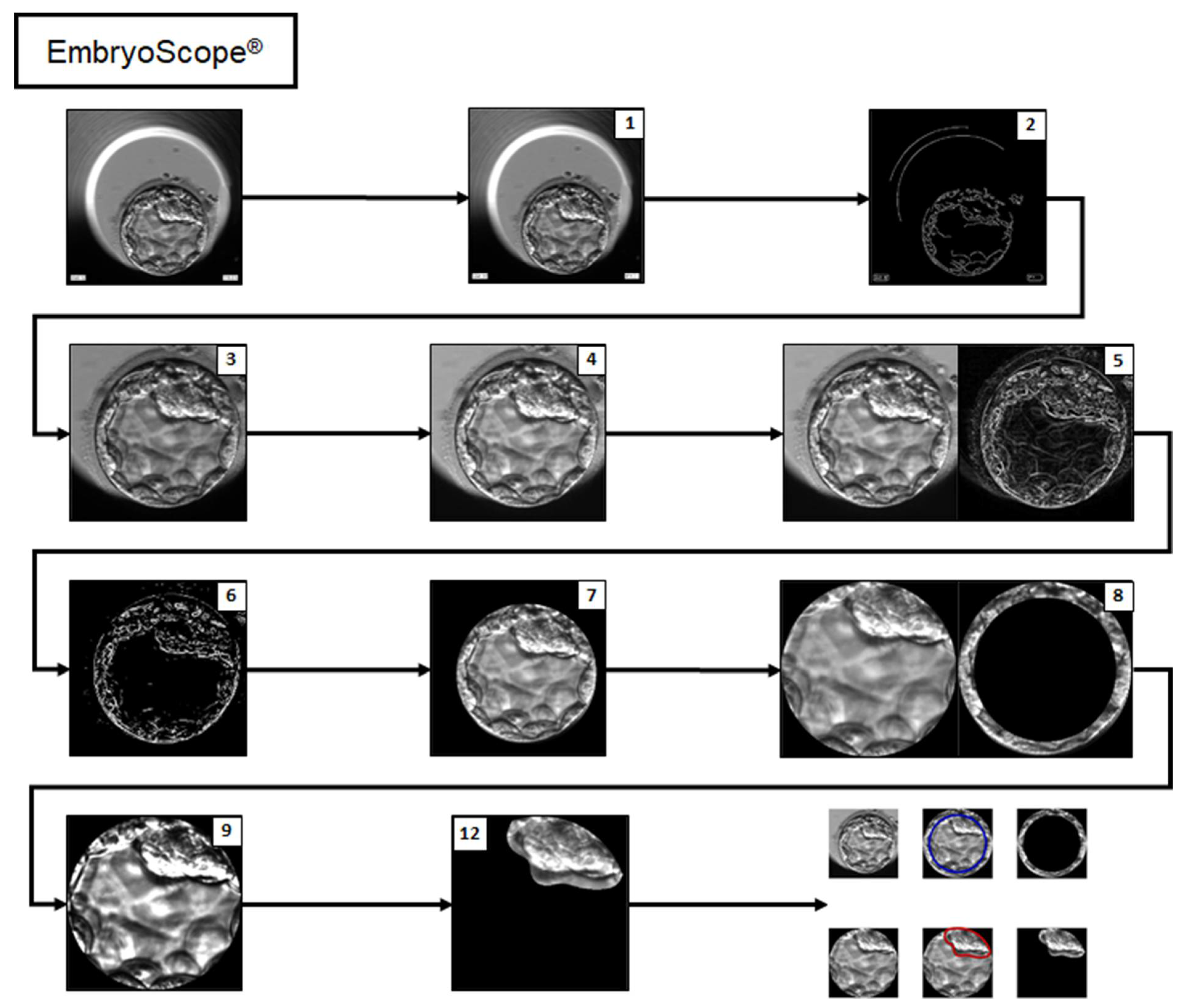 Applsci 12 03531 g002