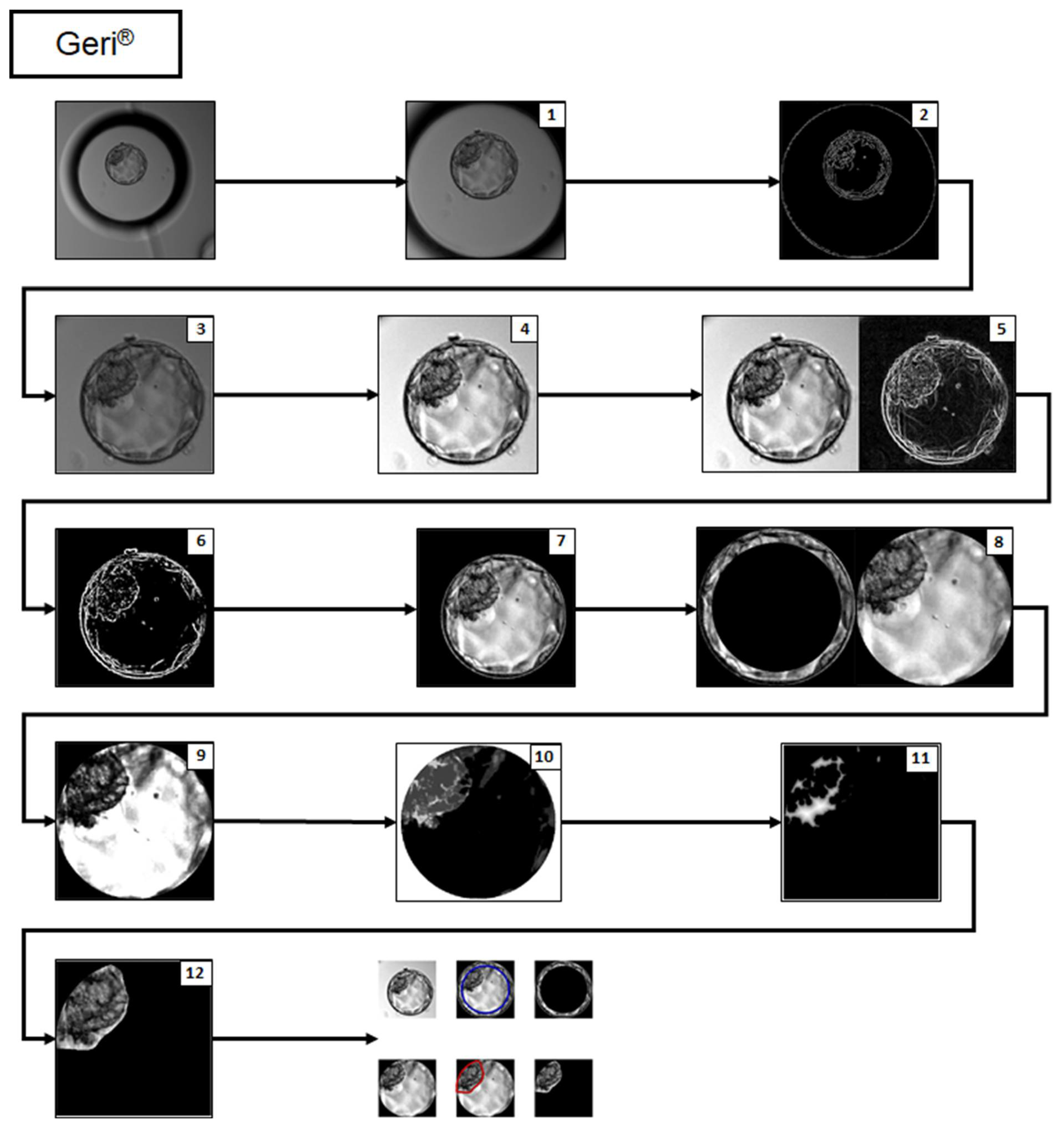 Applsci 12 03531 g003