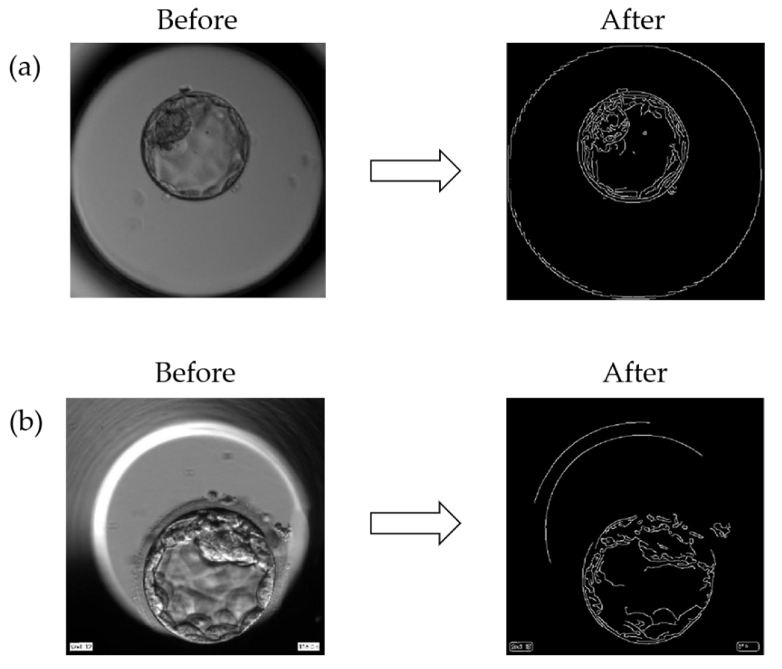 Applsci 12 03531 g004