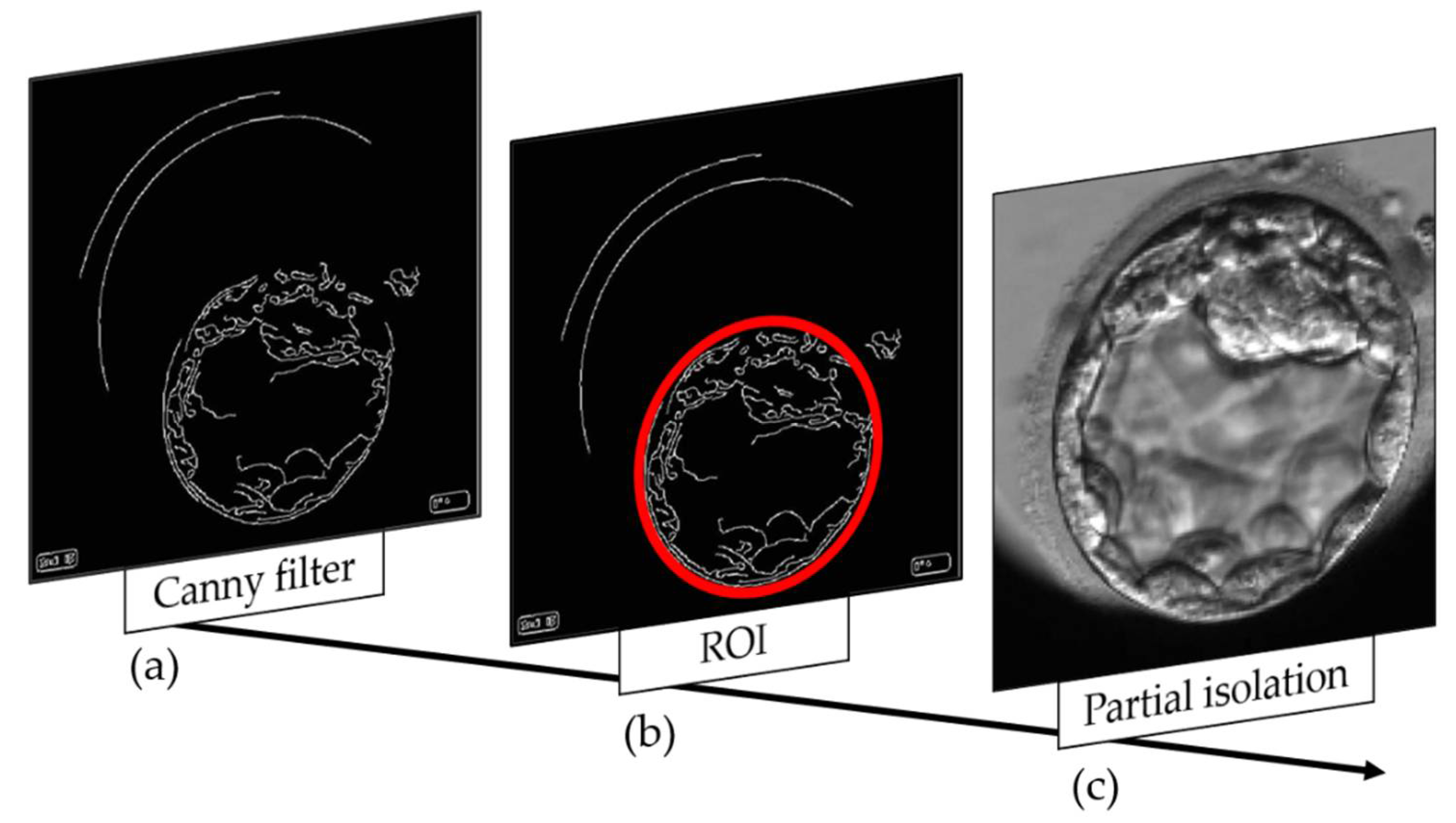 Applsci 12 03531 g005