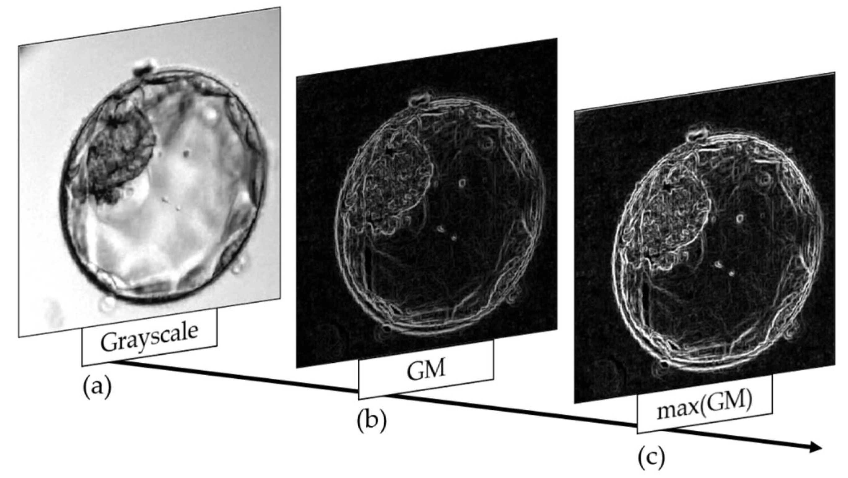 Applsci 12 03531 g009