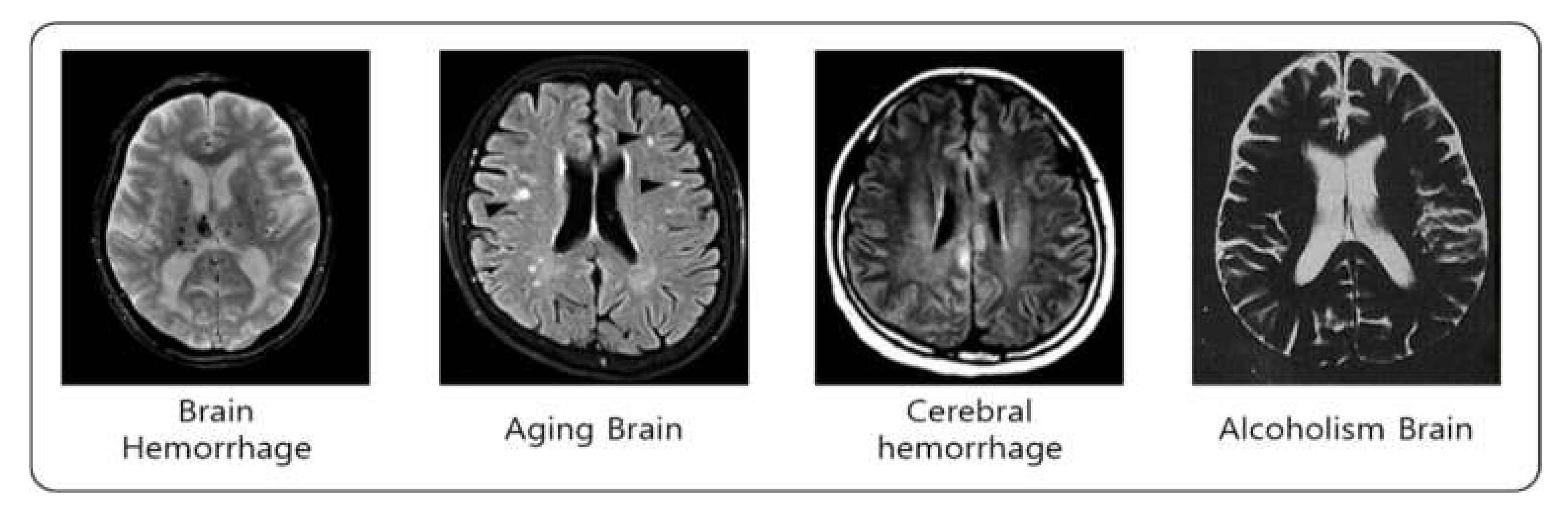 Applsci 12 03536 g004