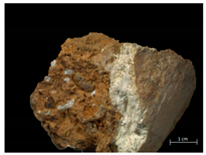 Applsci 12 03542 i002