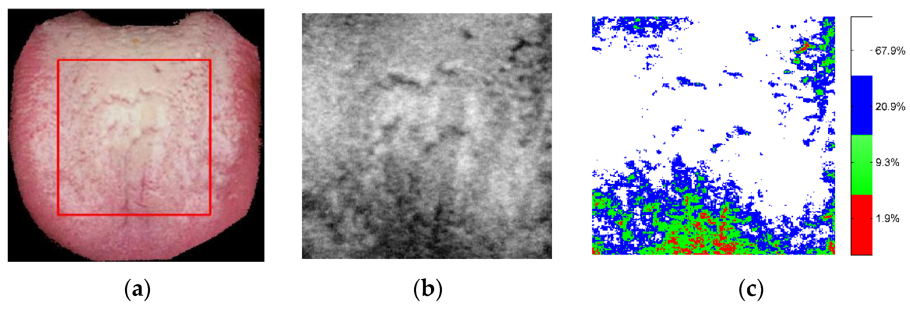 Applsci 12 03552 g009 550