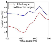 Applsci 12 03552 i006