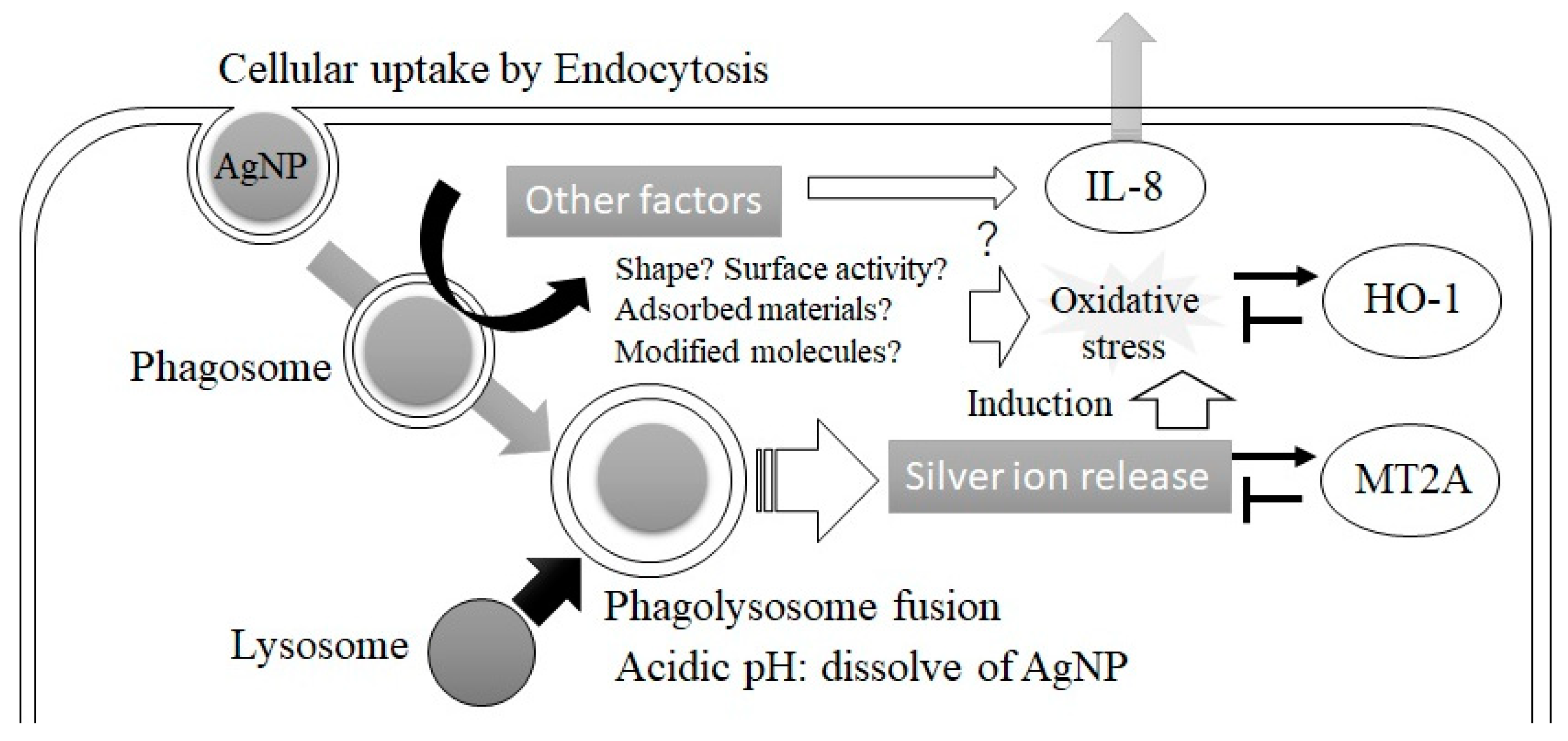 Applsci 12 03554 g006 550