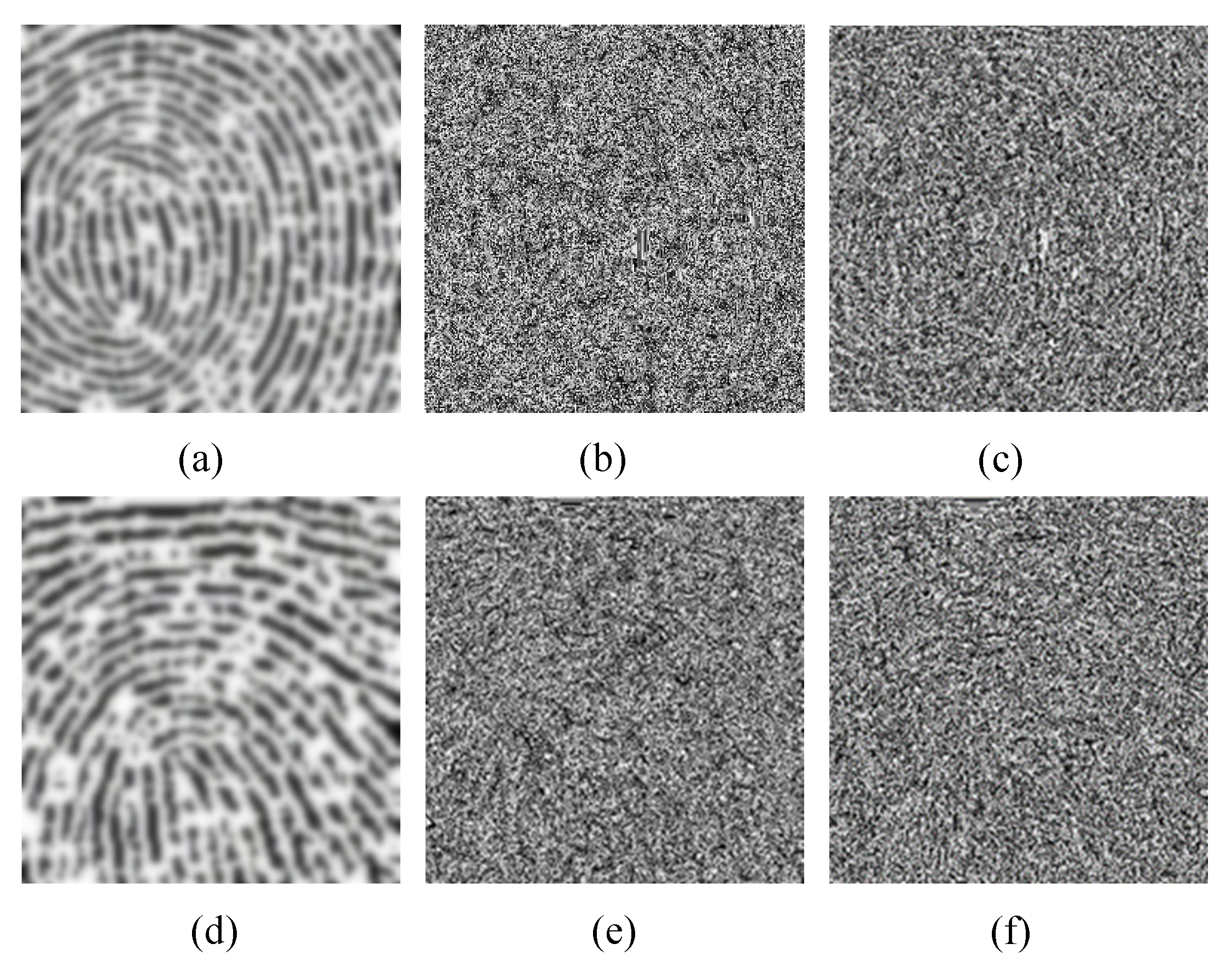 Applsci 12 03563 g005 550