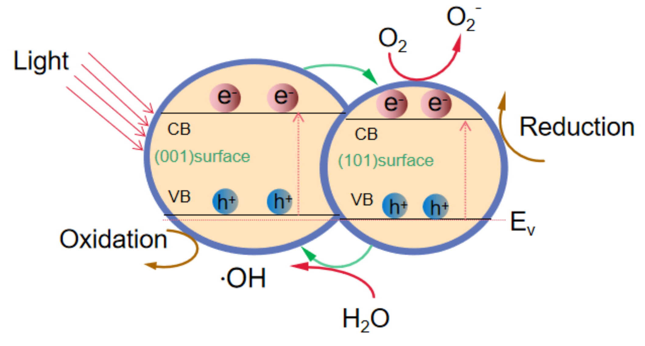 Applsci 12 03574 g009 550