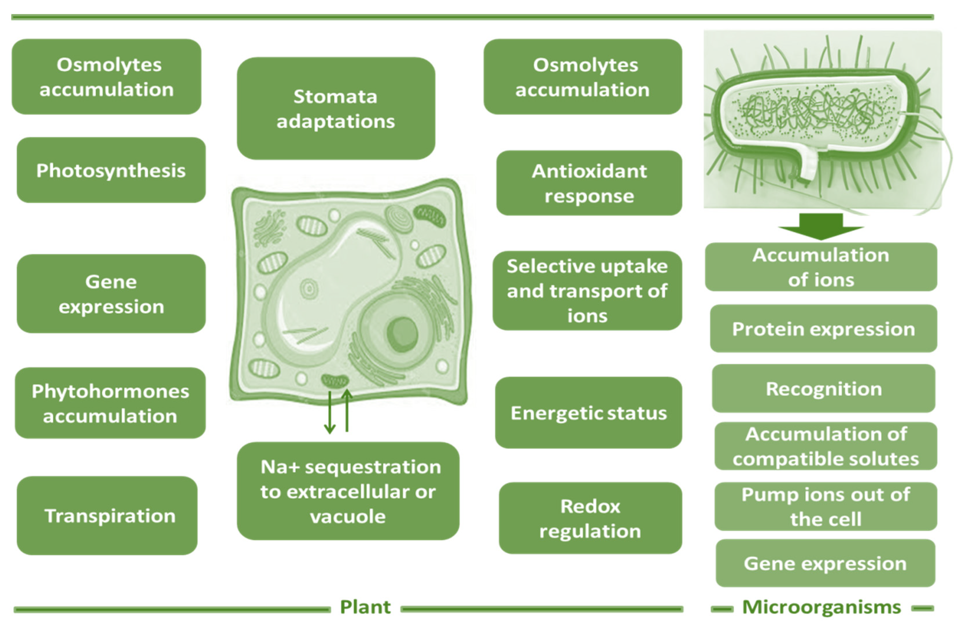 Applsci 12 03586 g001 550