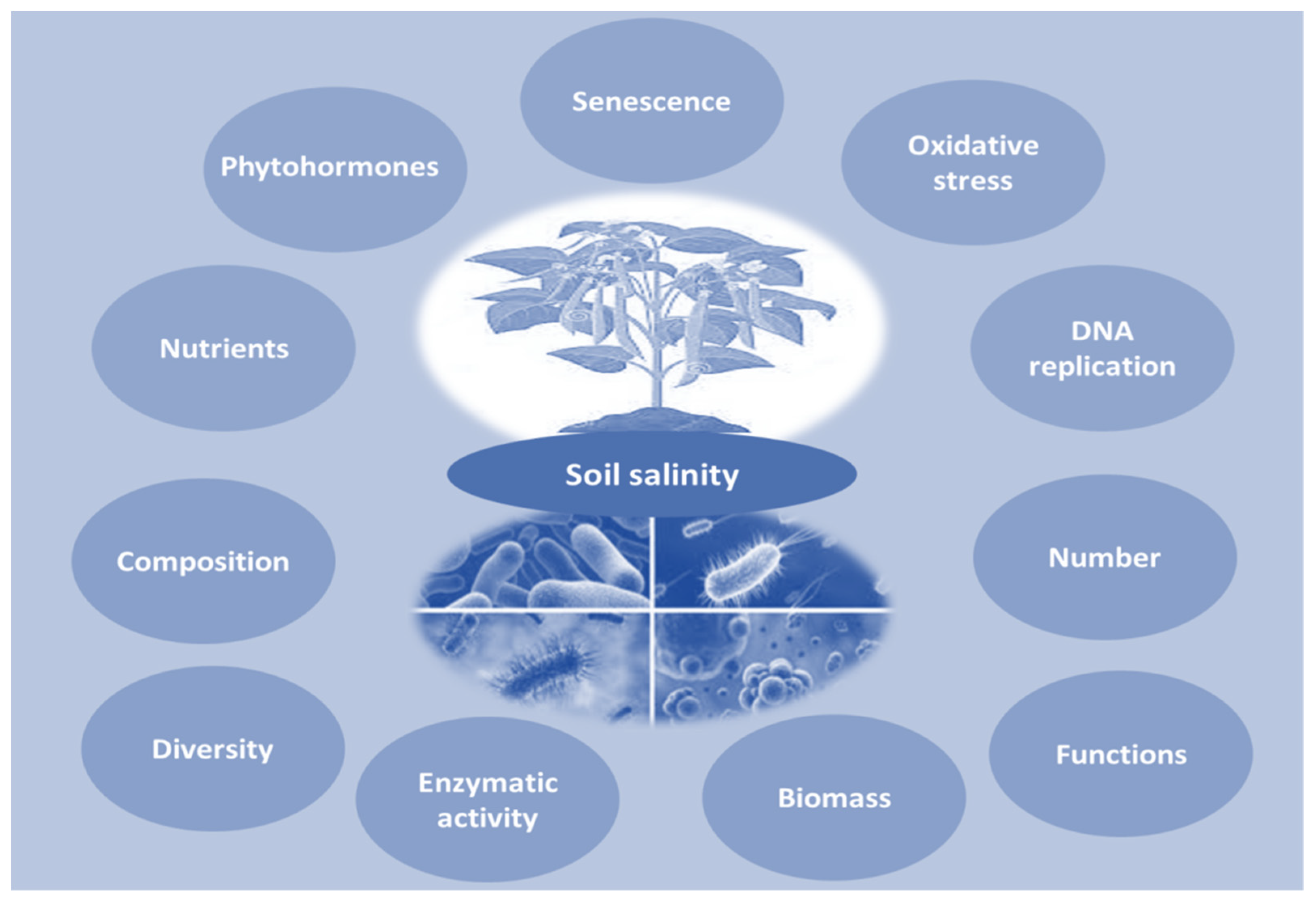 Applsci 12 03586 g002 550