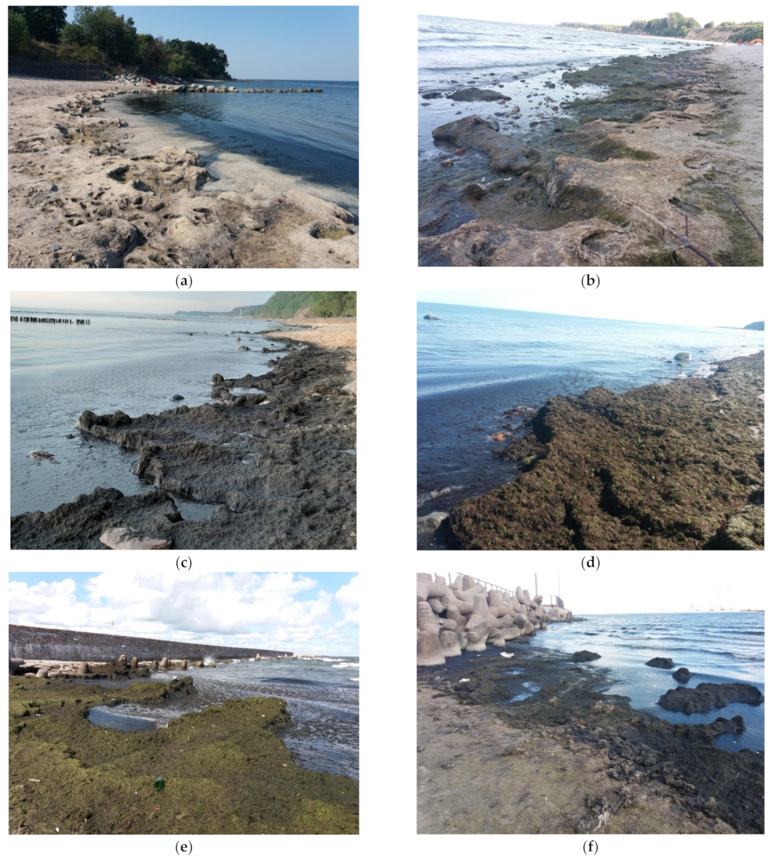 Applsci 12 03599 g002 550