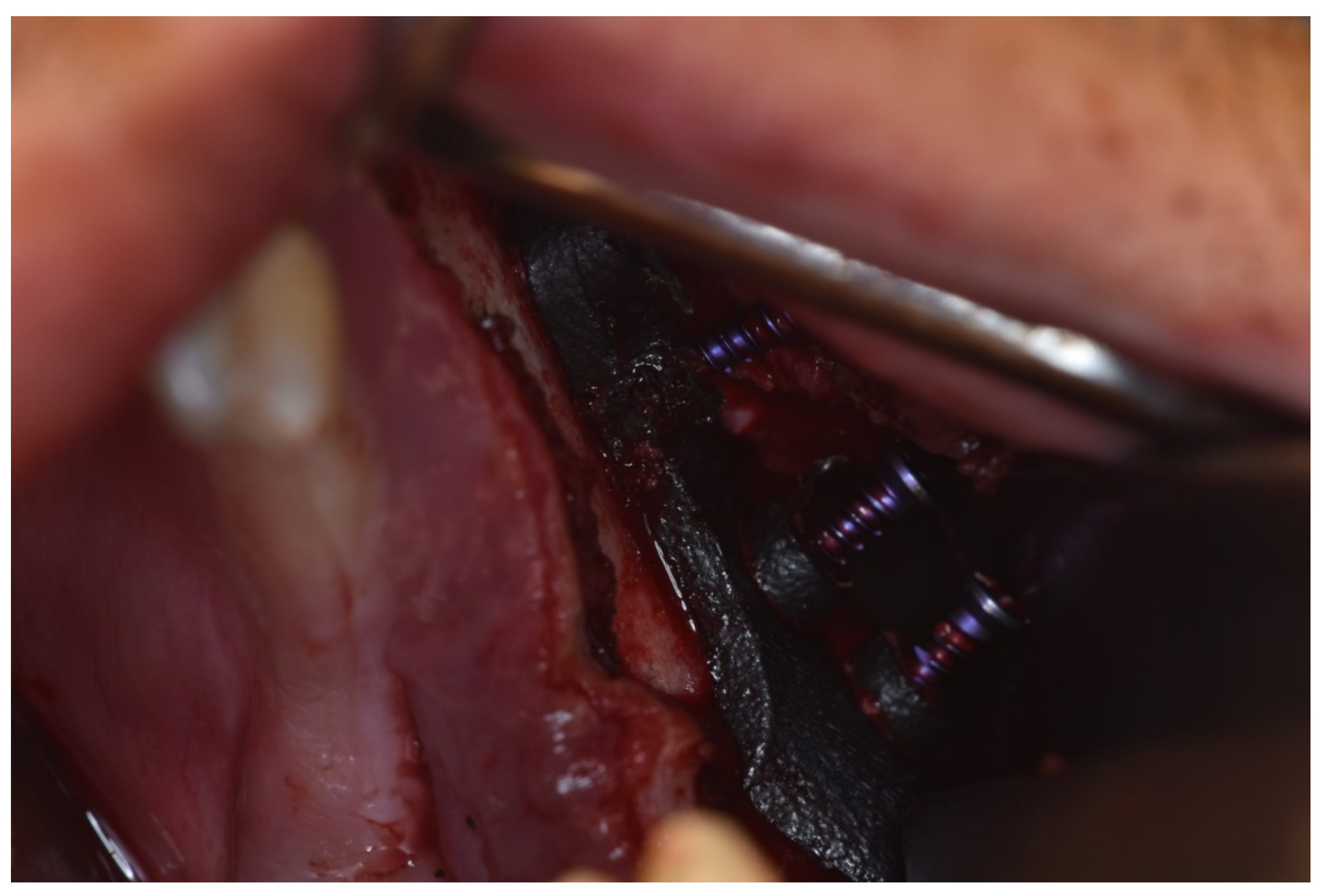 Applsci 12 03600 g008 550