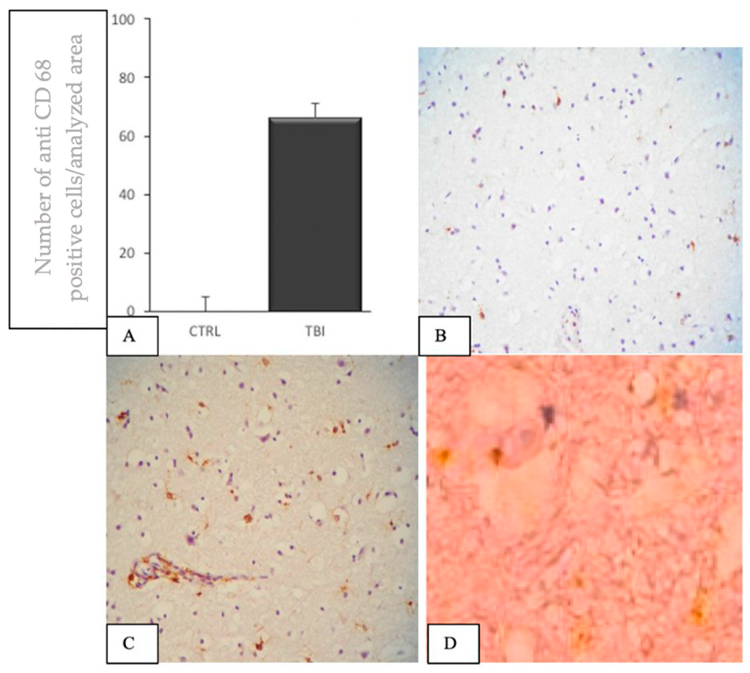 Applsci 12 03638 g005