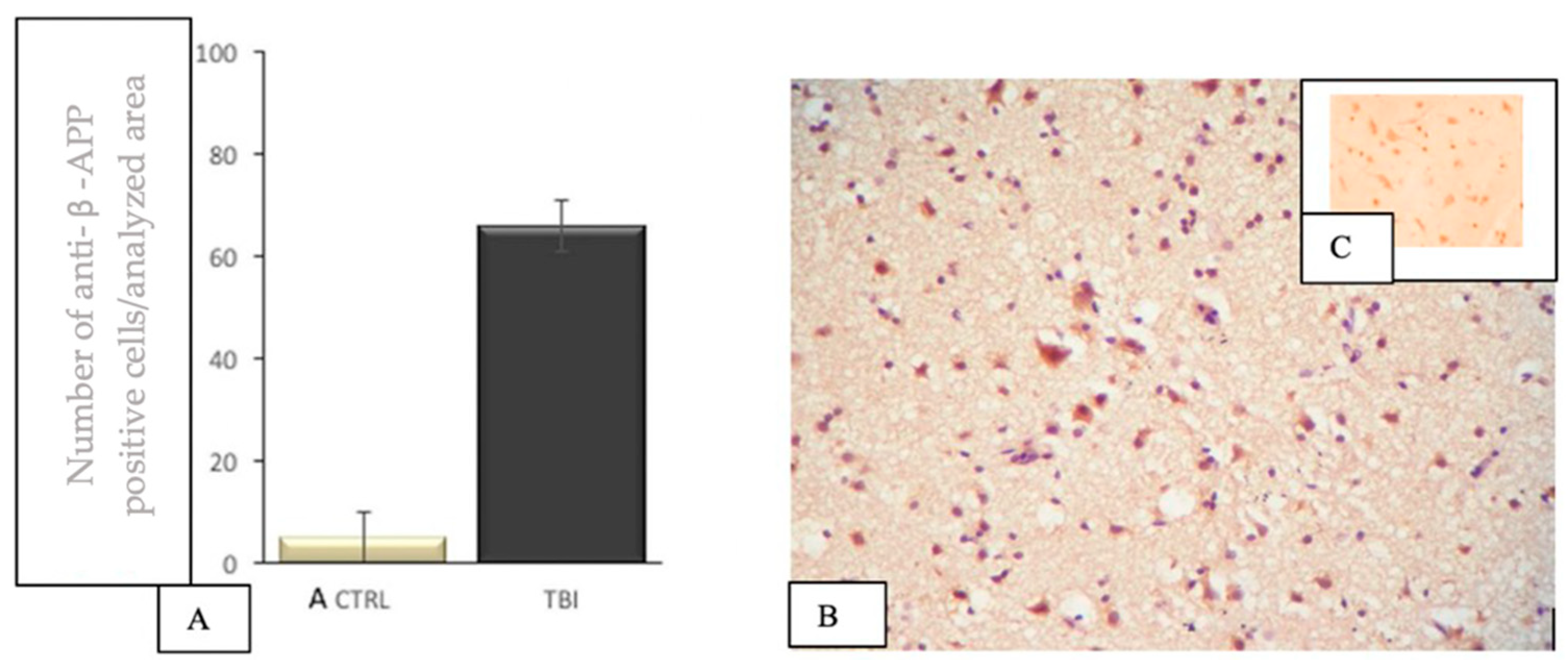 Applsci 12 03638 g007