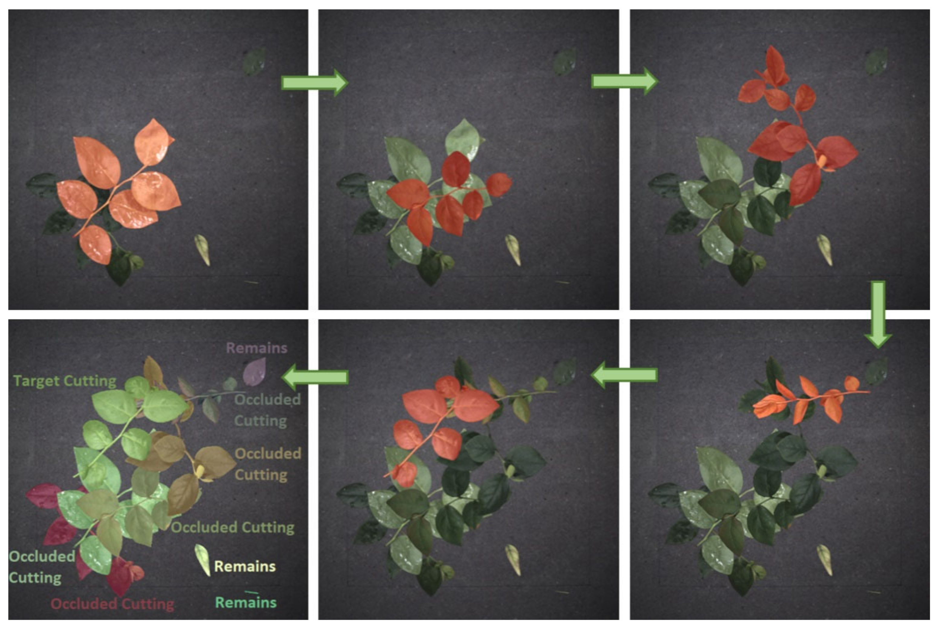 Applsci 12 03655 g004