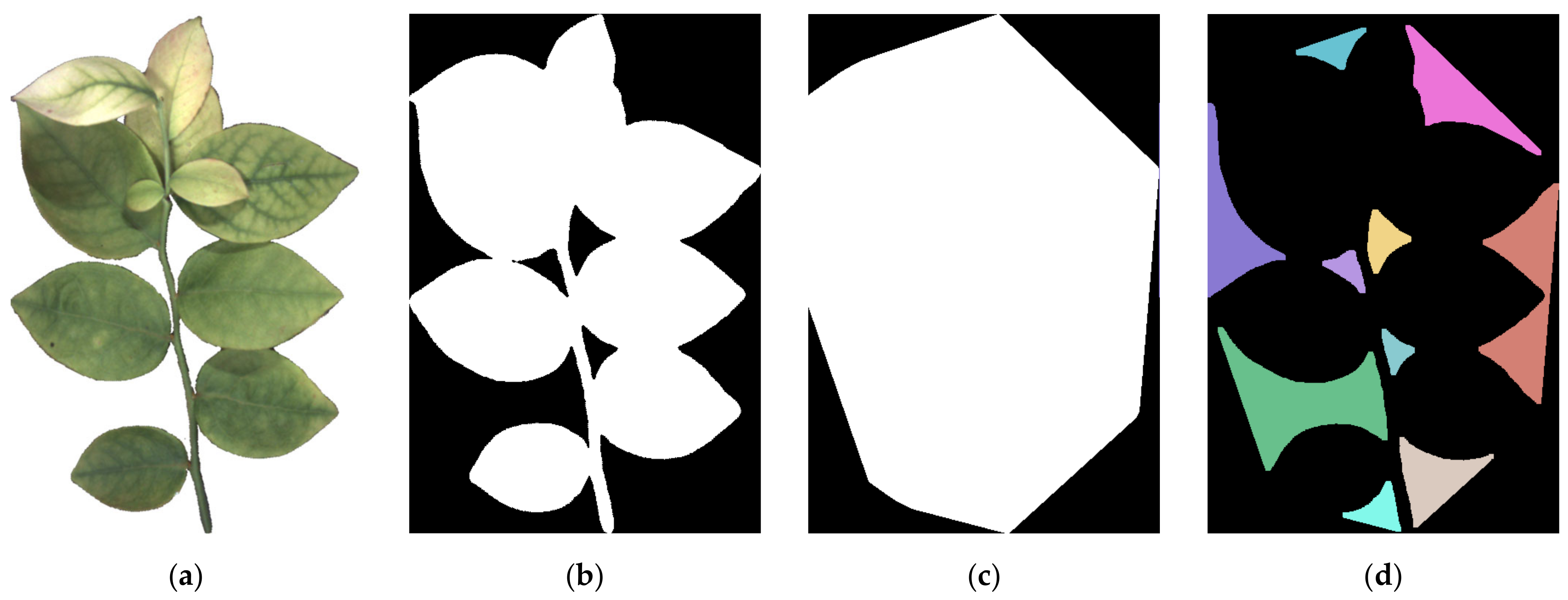 Applsci 12 03655 g007