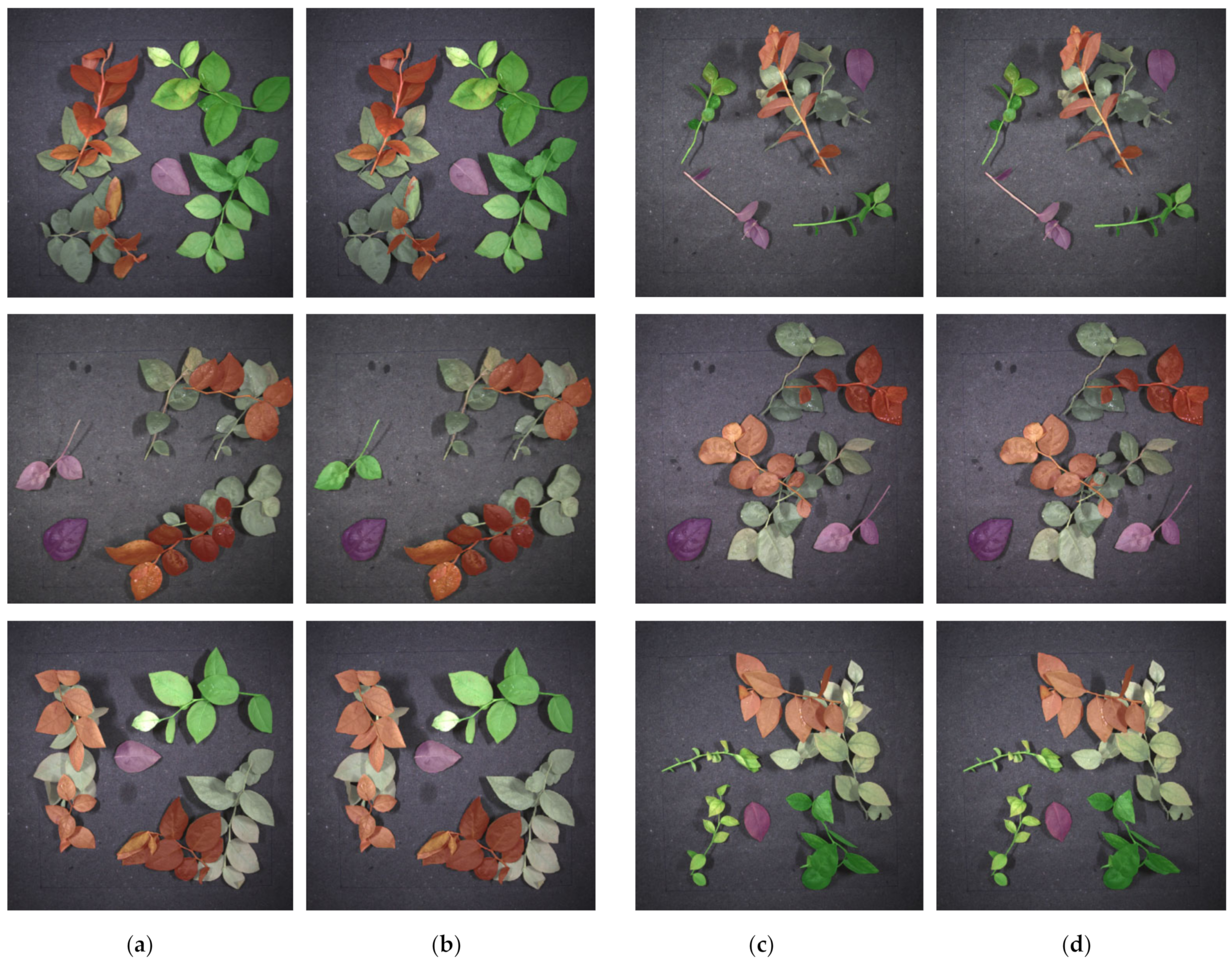 Applsci 12 03655 g009