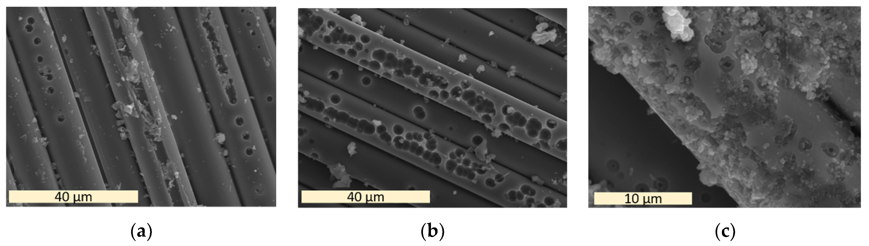 Applsci 12 03696 g005