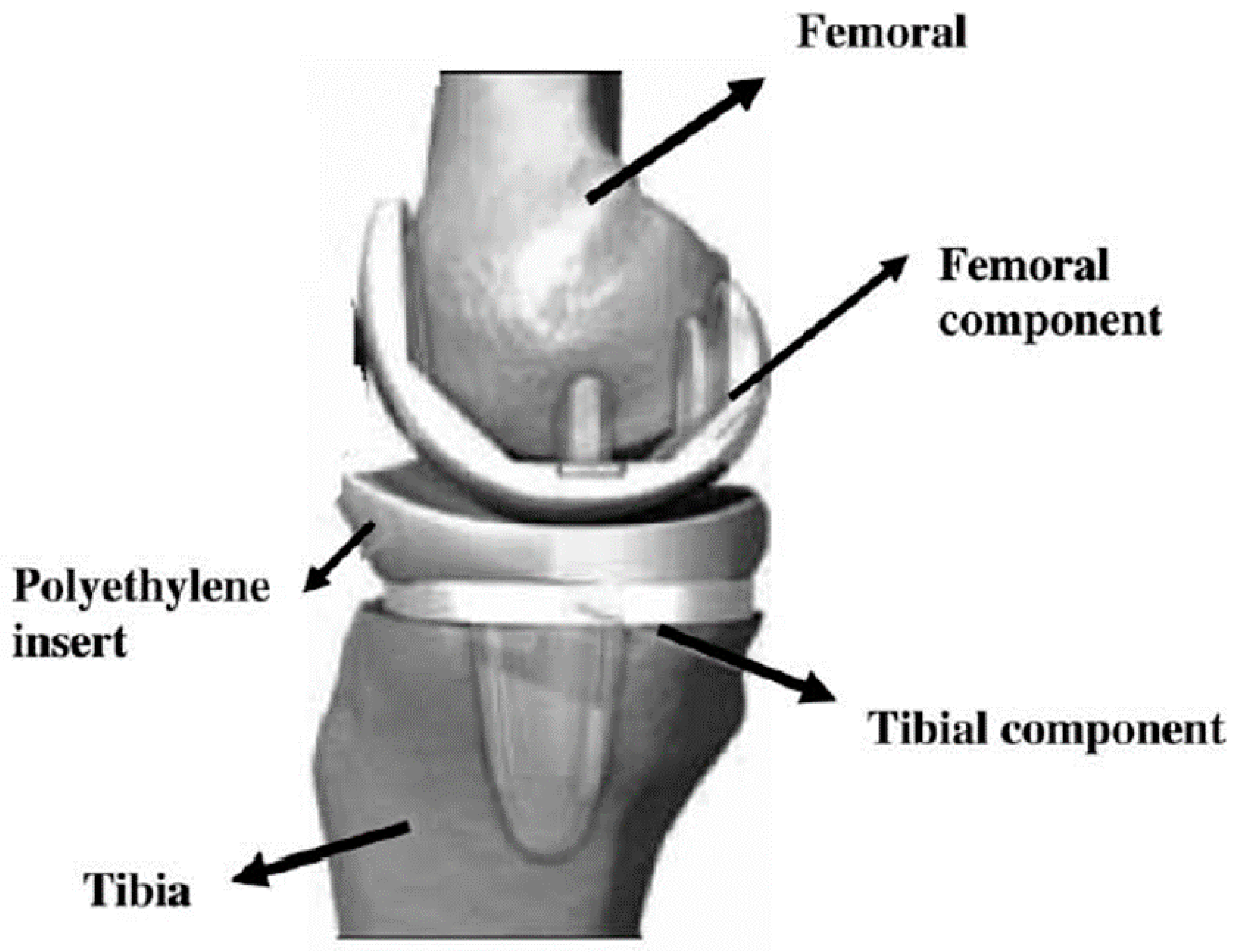 Applsci 12 03698 g002