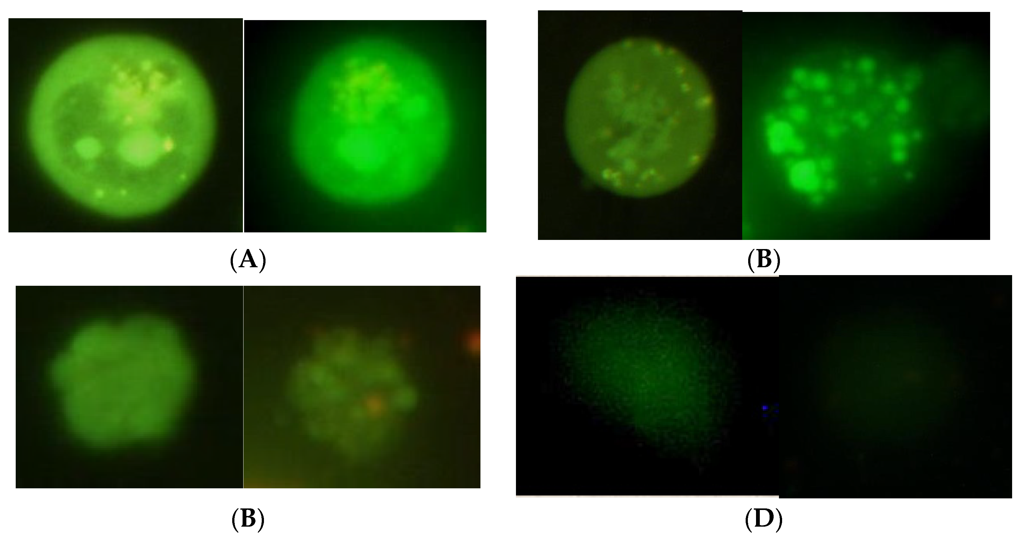 Applsci 12 03704 g001