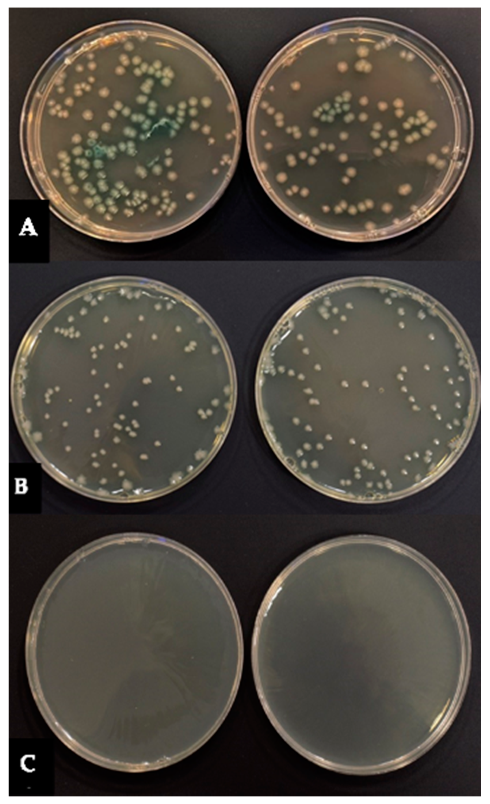 Applsci 12 03707 g002 550