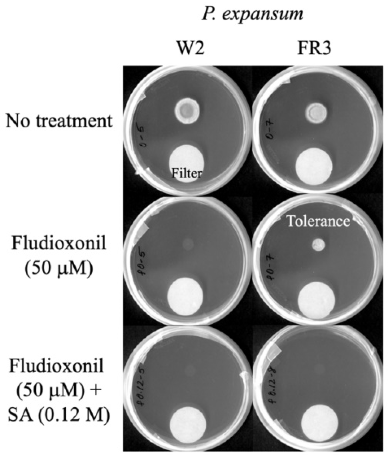 Applsci 12 03749 g002 550