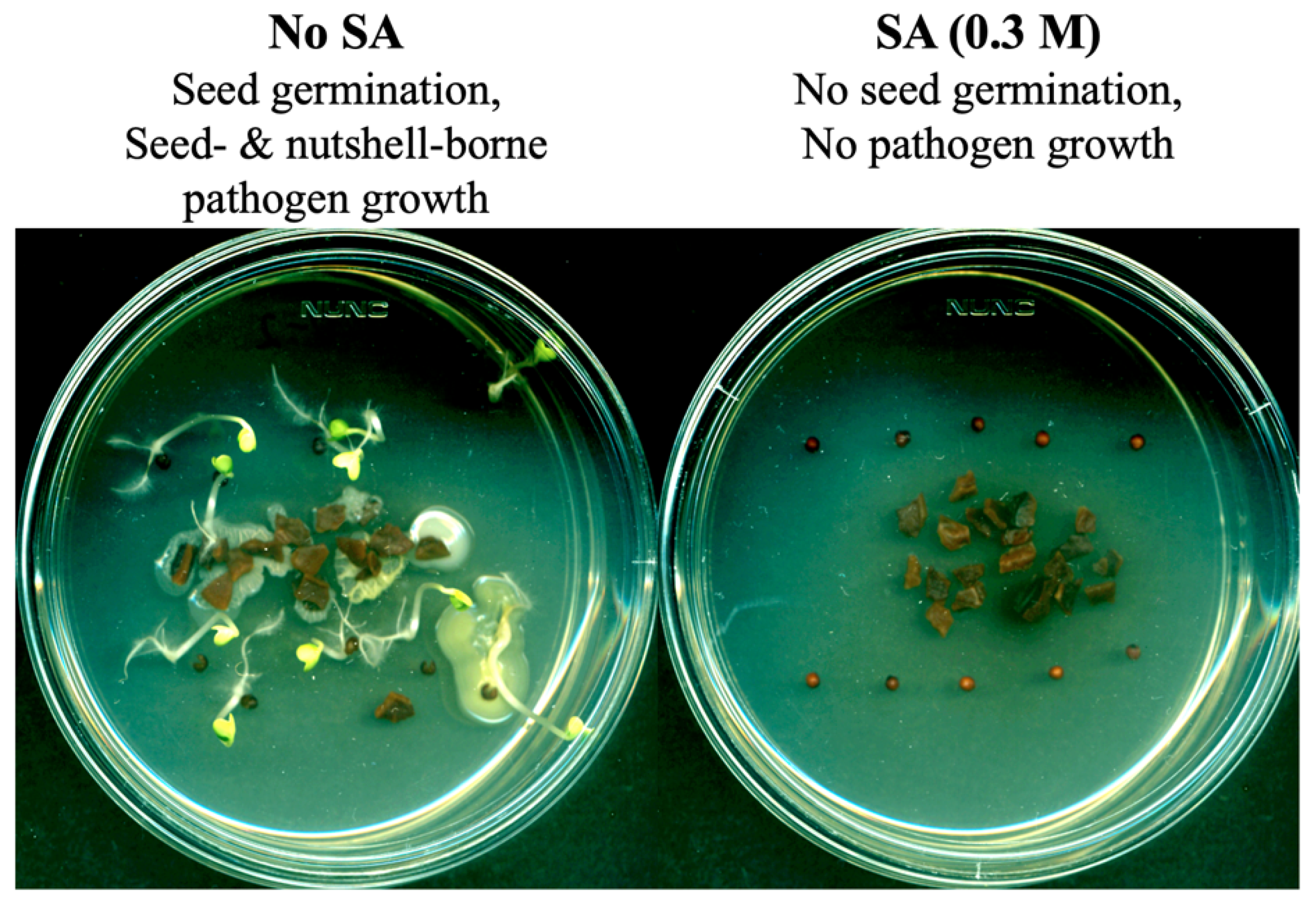 Applsci 12 03749 g003 550