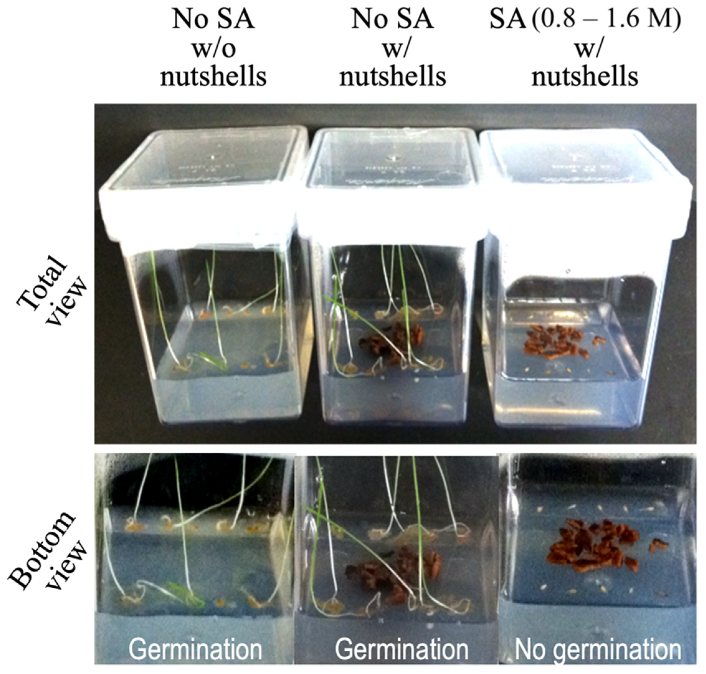 Applsci 12 03749 g004 550