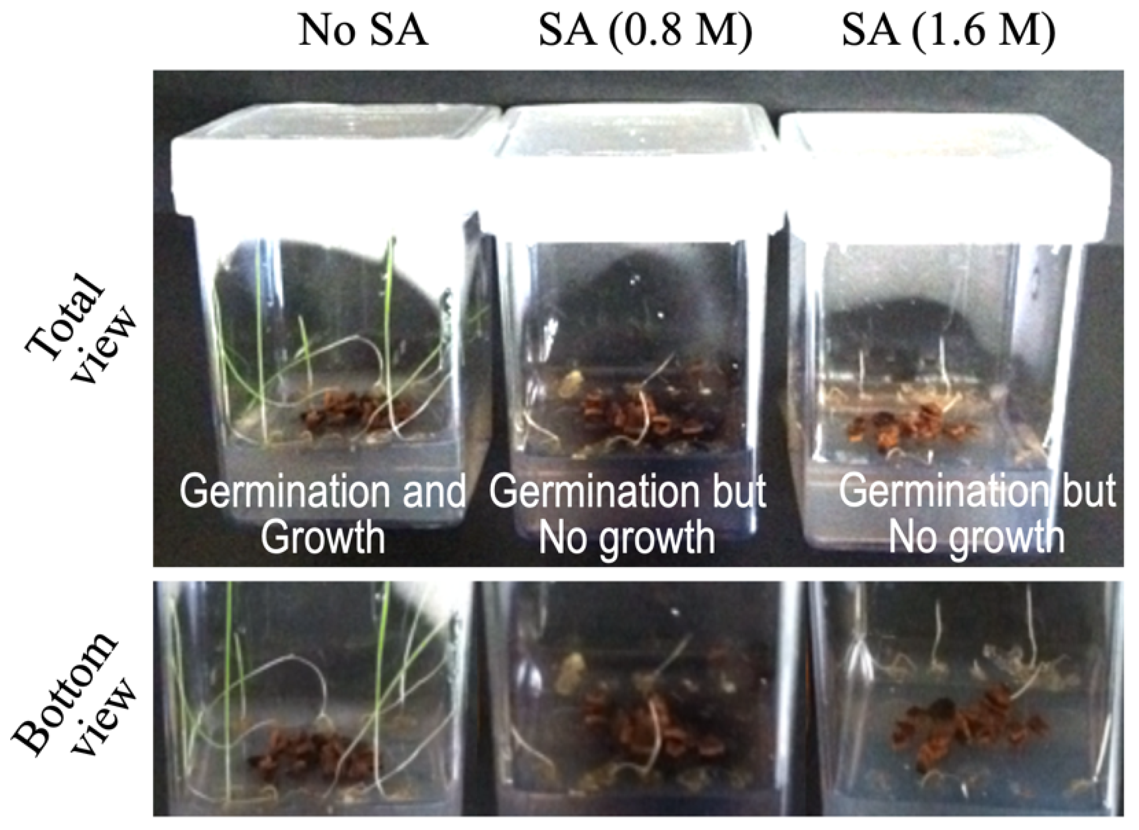 Applsci 12 03749 g005 550