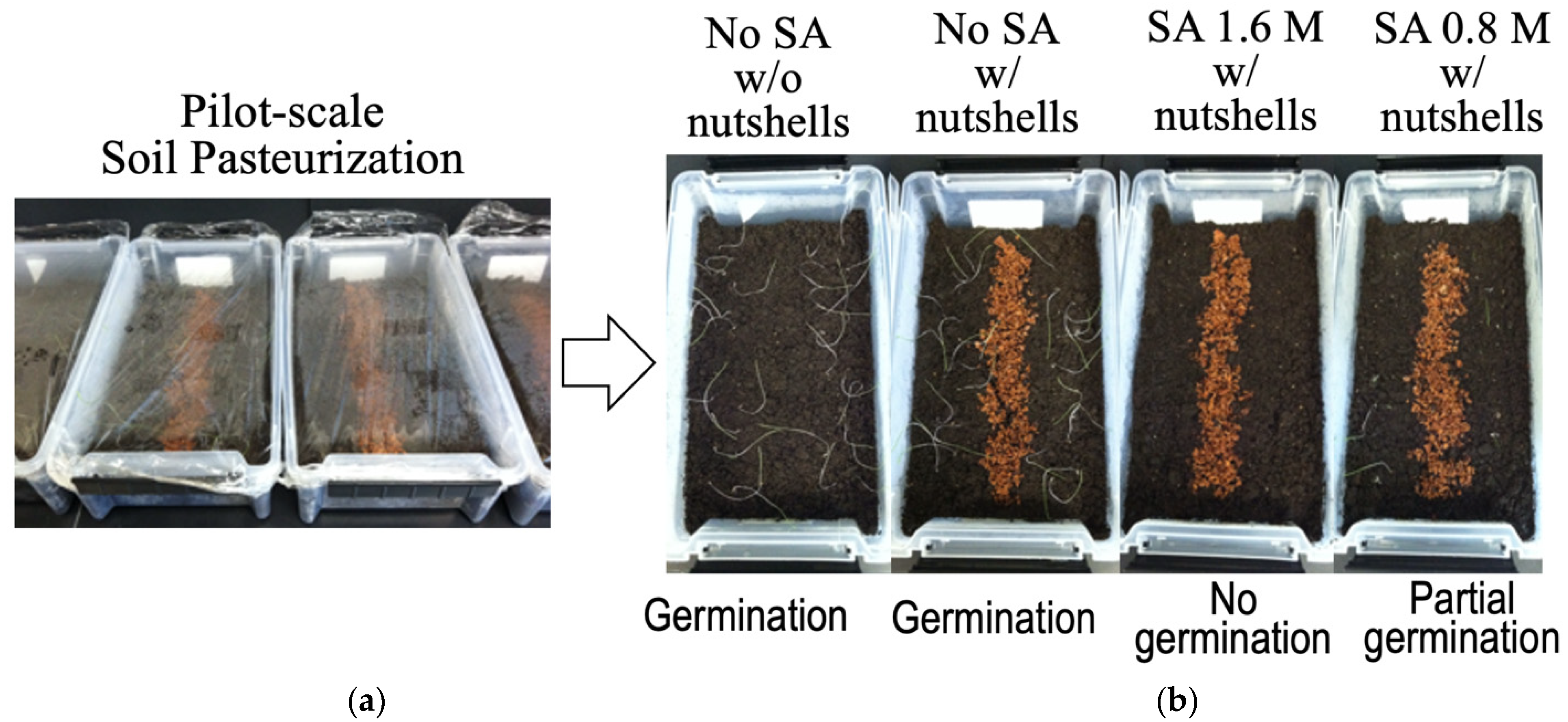 Applsci 12 03749 g006 550