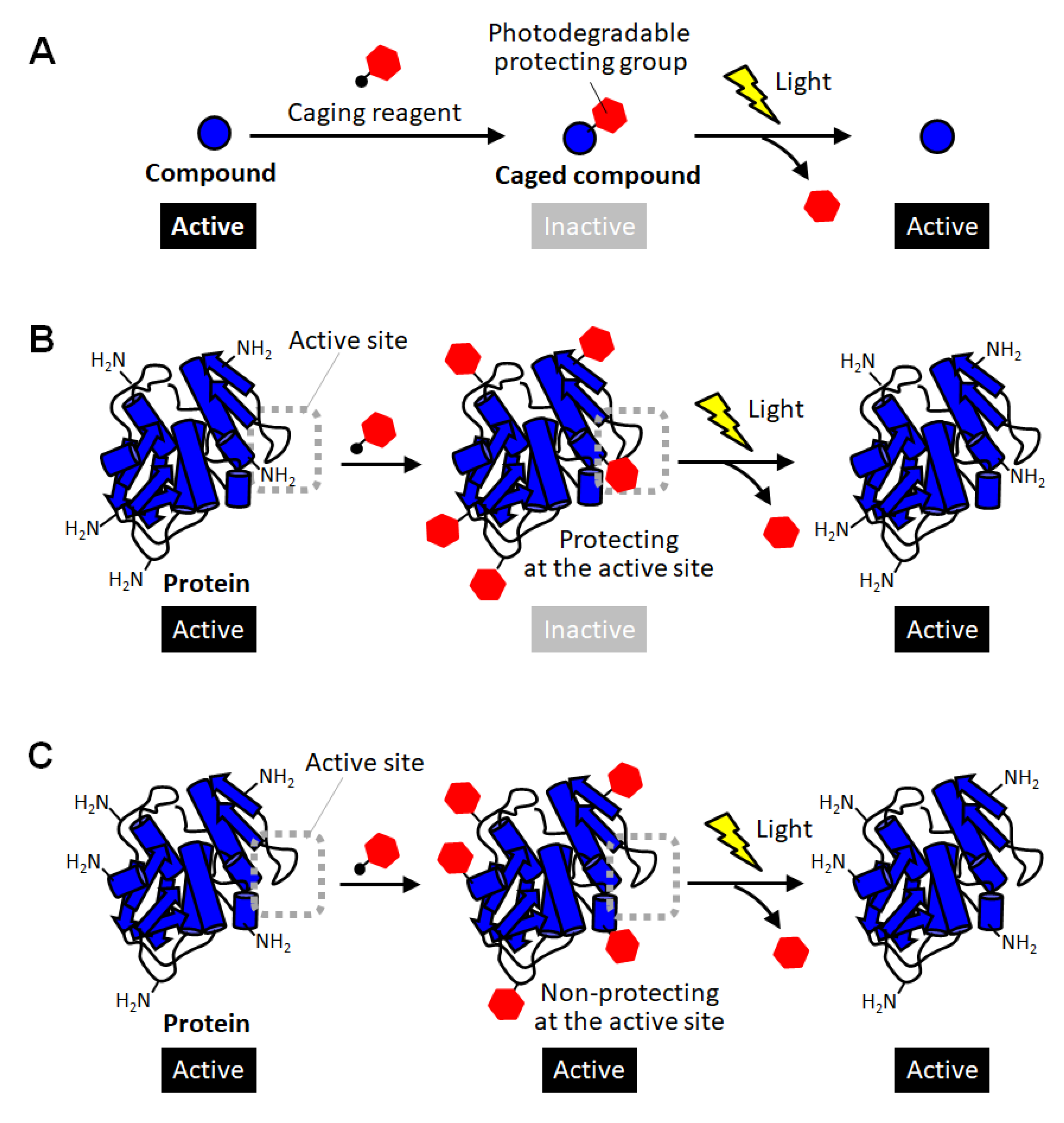 Applsci 12 03750 g001